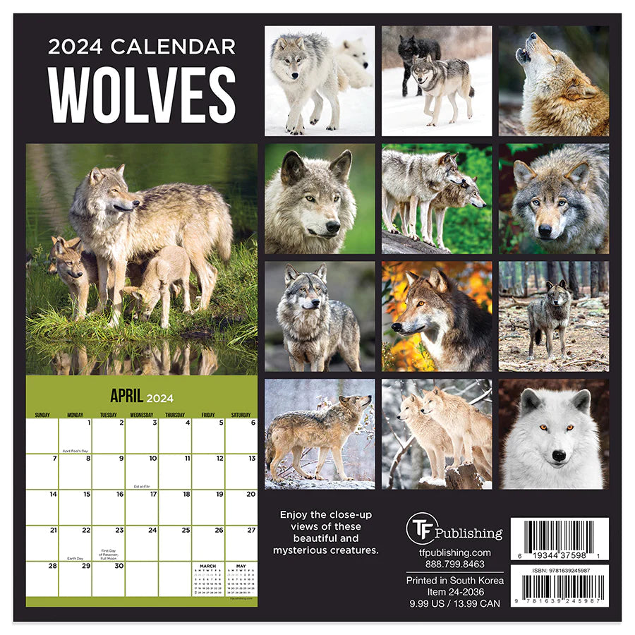 2024 Wolves - Mini Wall Calendar