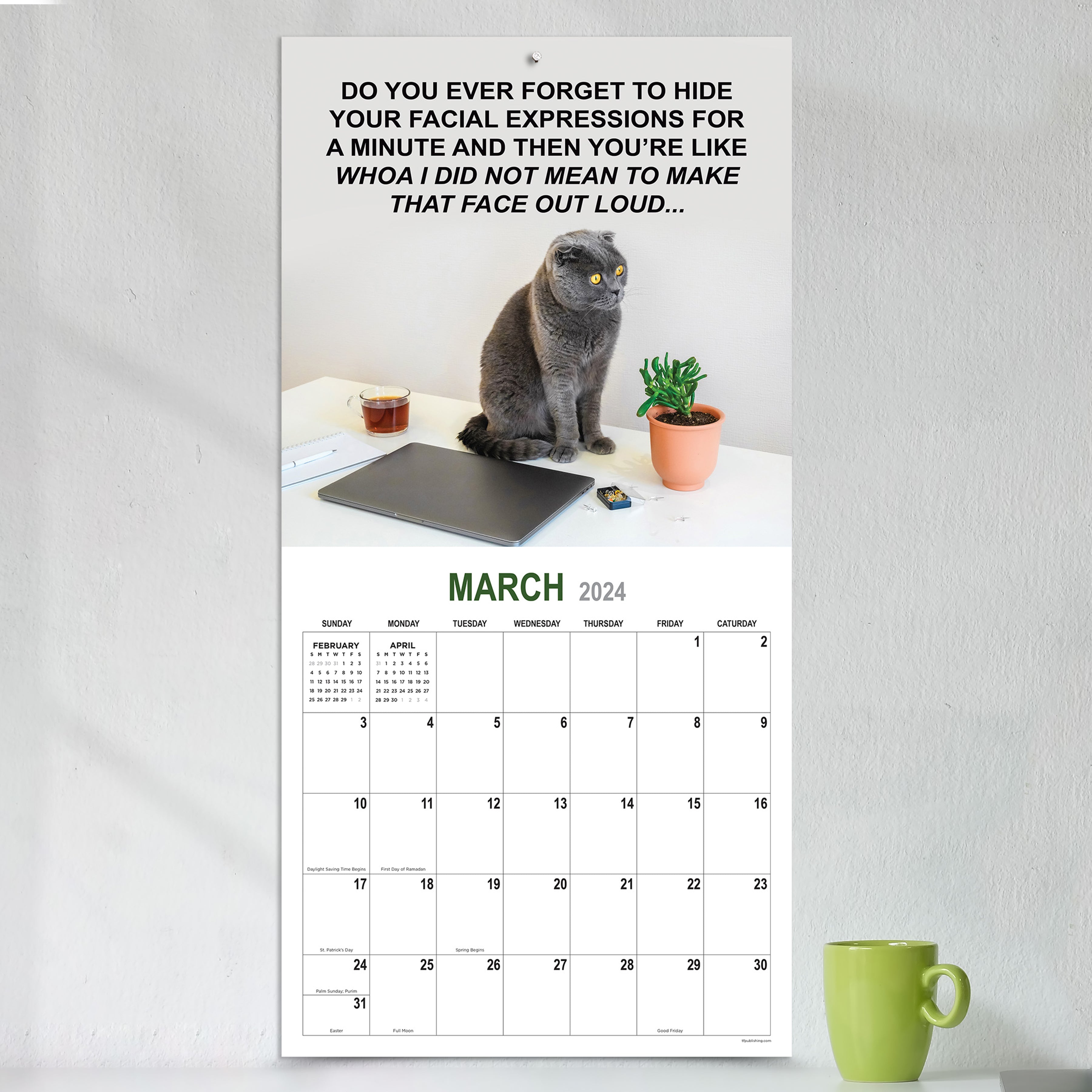 2024 Corporate Cats - Square Wall Calendar