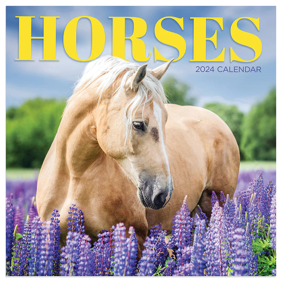 2024 Horses - Mini Wall Calendar