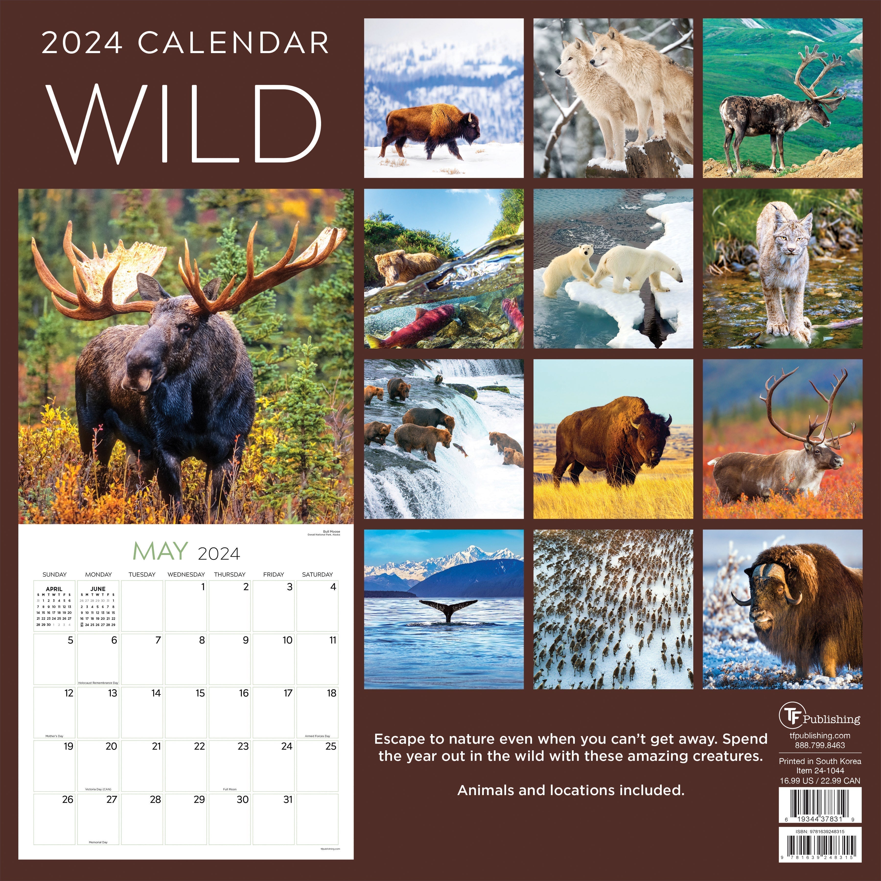 2024 Wild - Square Wall Calendar