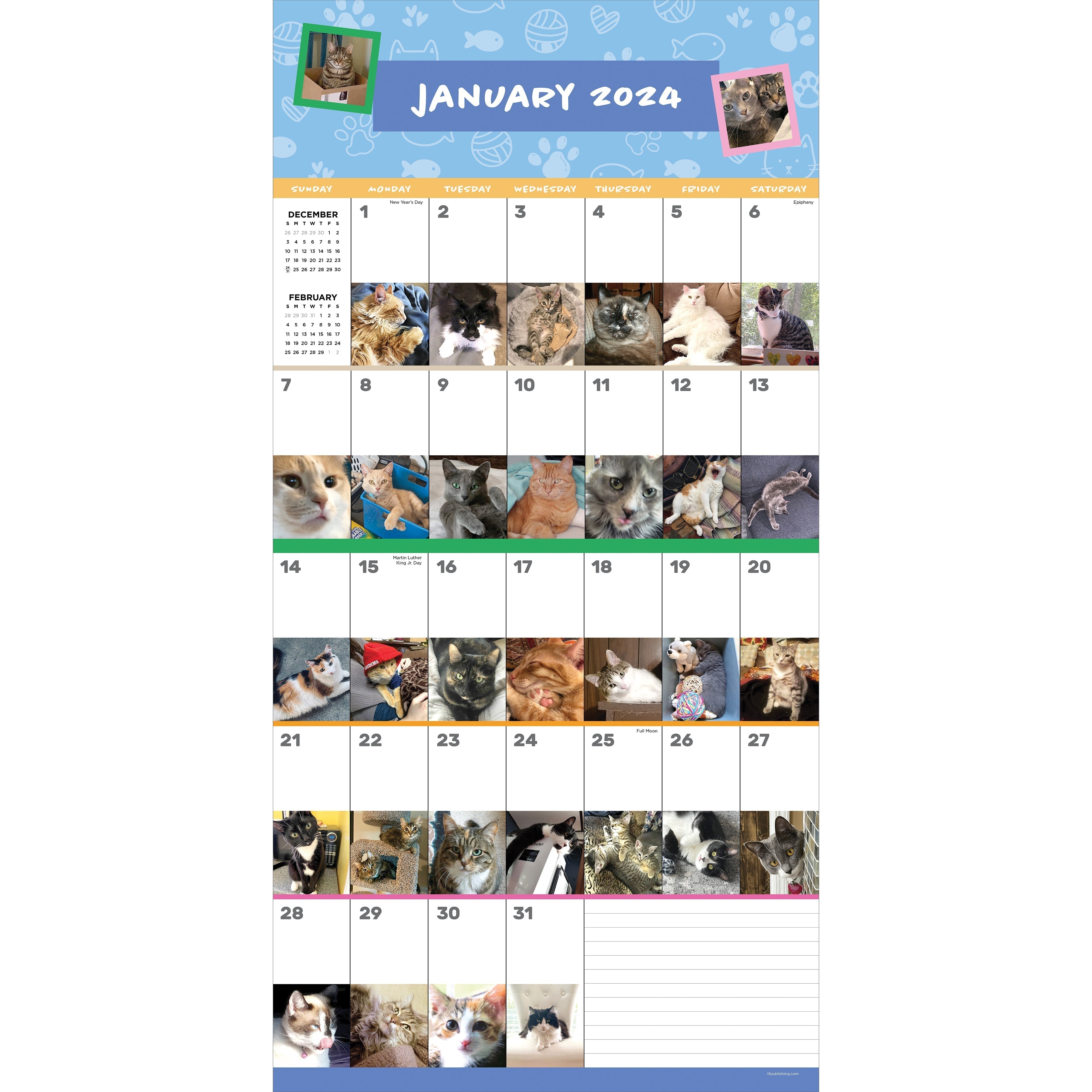 2024 Cat-A-Day - Square Wall Calendar