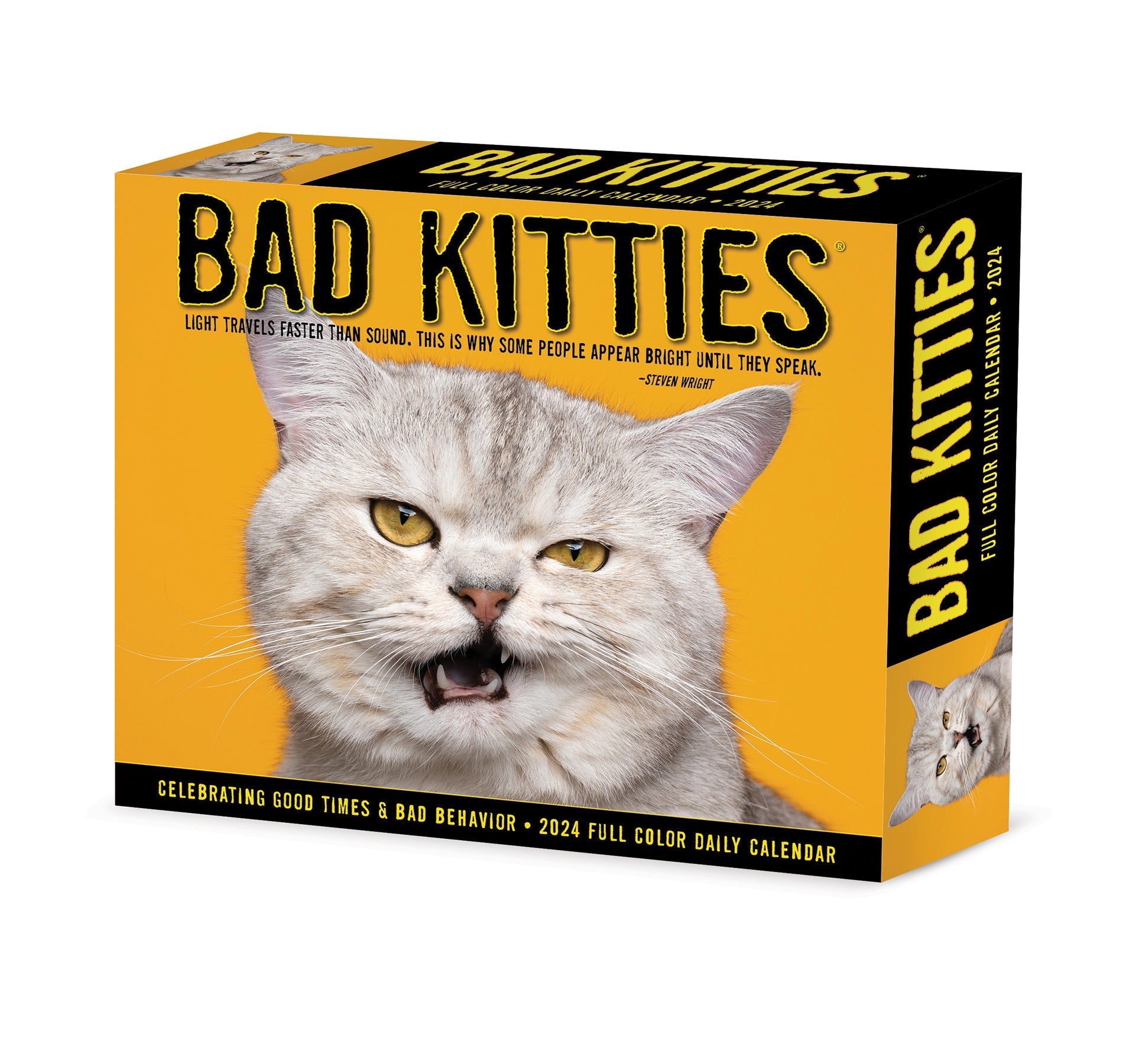 2024 Bad Kitties - Boxed Page A Day Calendar