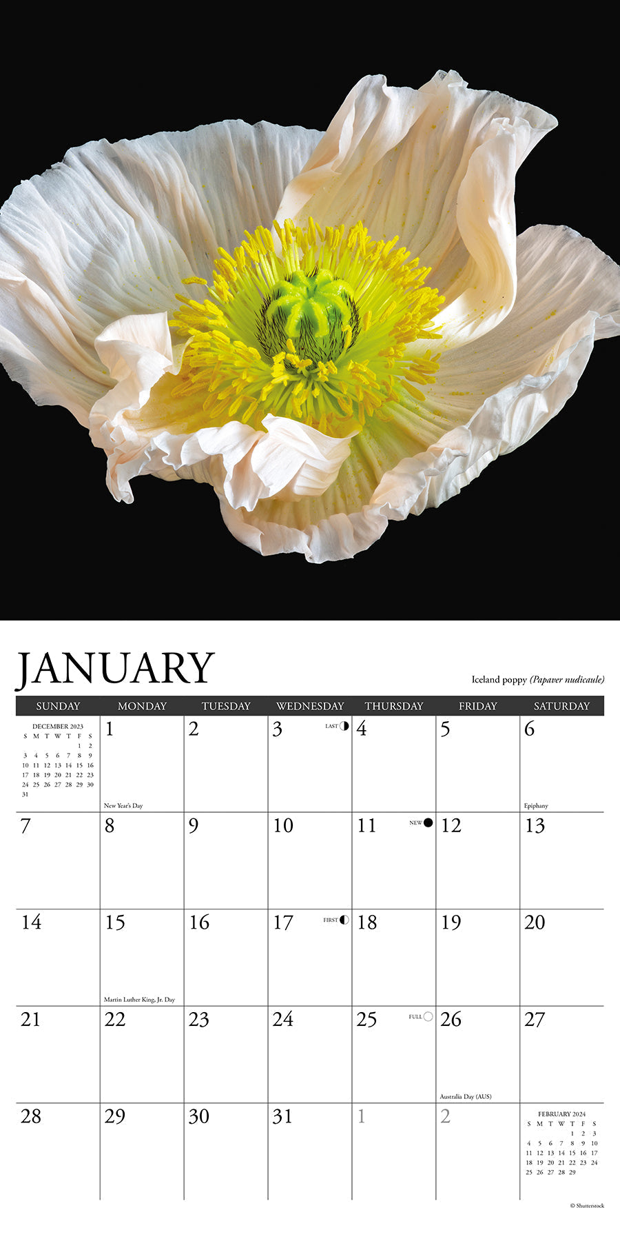 2024 Flowers (by Willow Creek) - Wall Calendar
