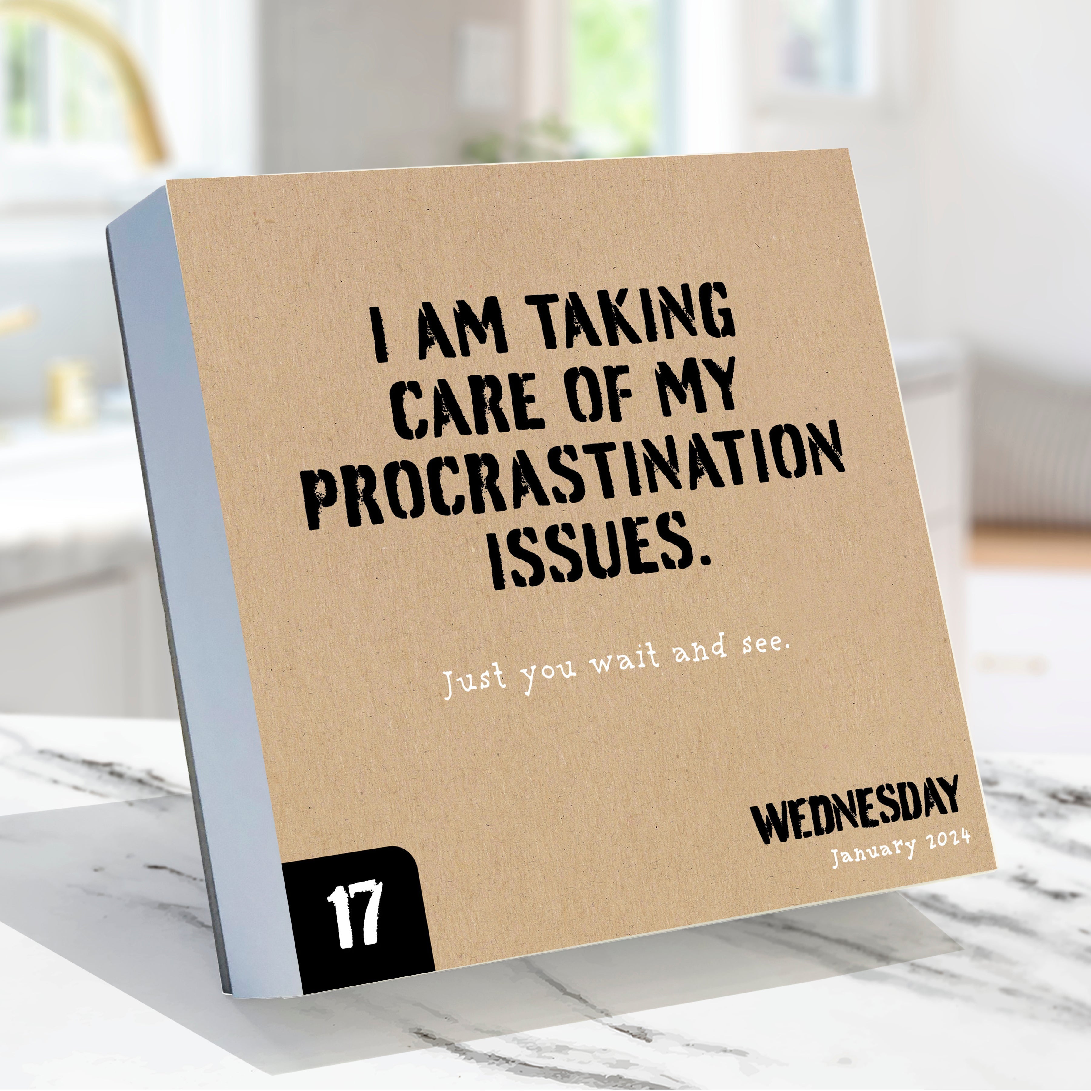 2024 Anti Affirmations/Daily Sarcasm - Daily Boxed Page-A-Day  Calendar