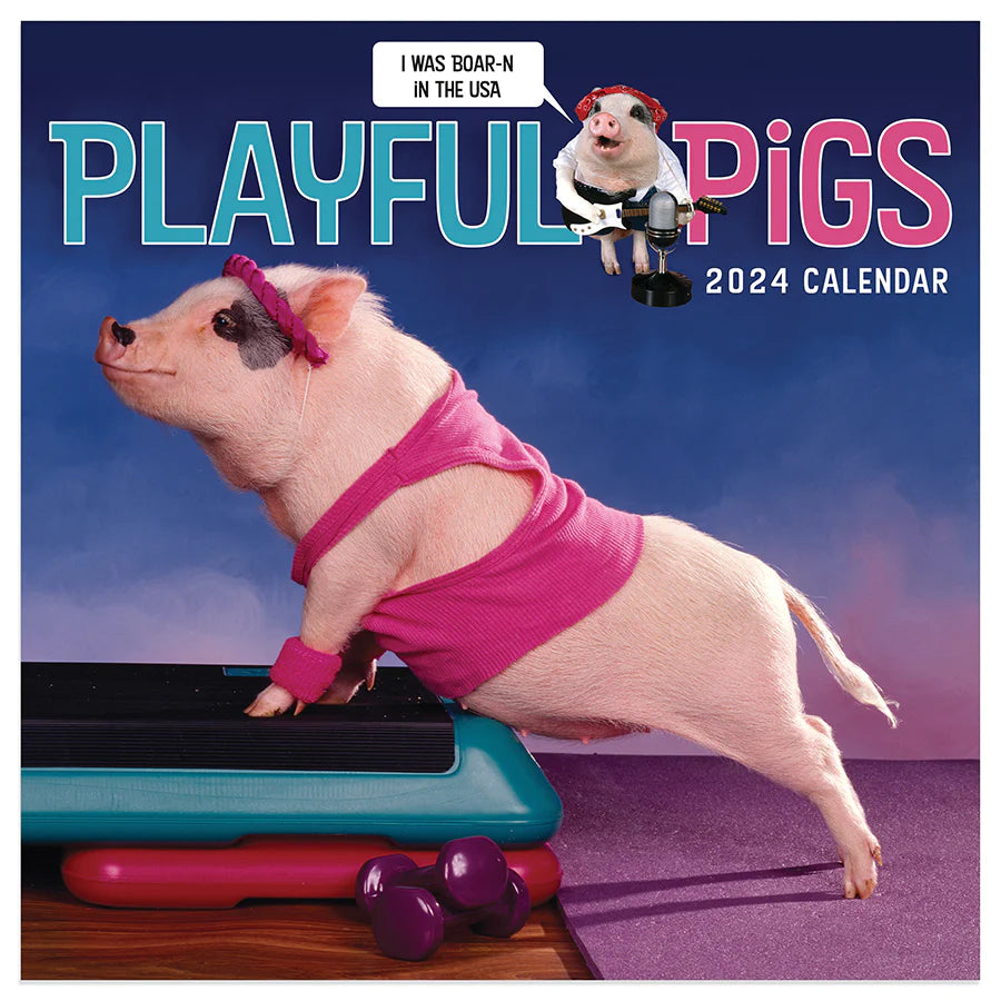 2024 Playful Pigs - Mini Wall Calendar