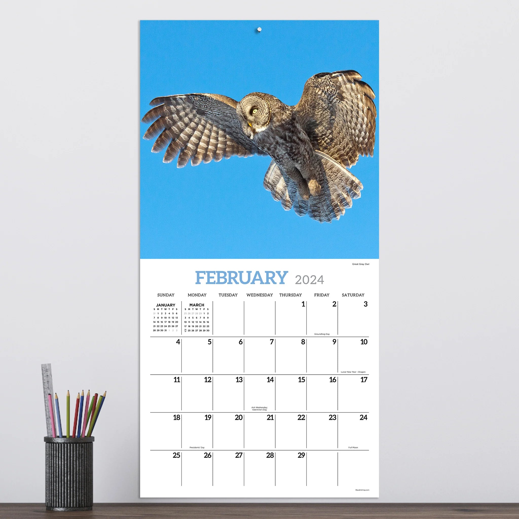 2024 Owls (by TF Publishing) - Square Wall Calendar