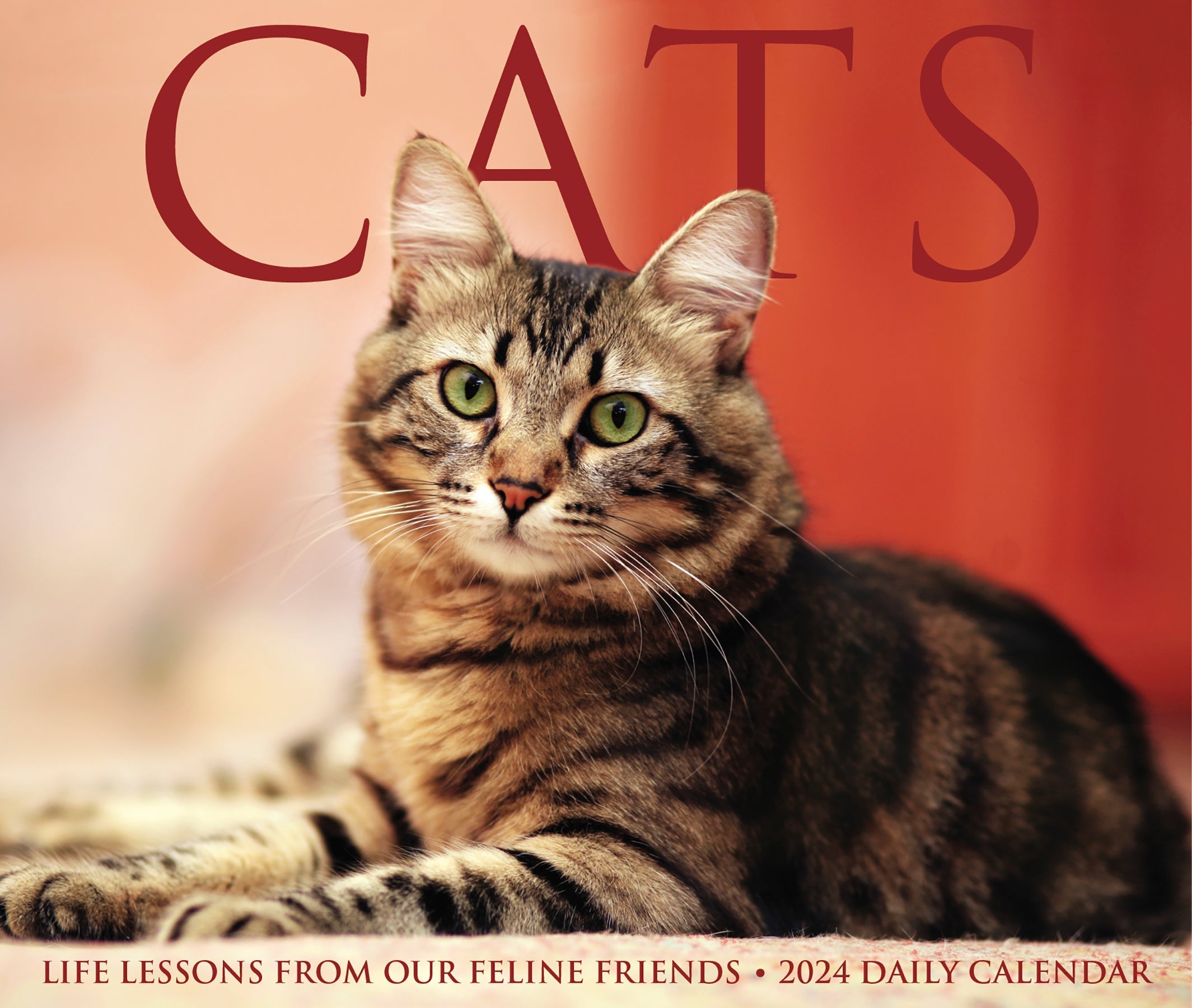 2024 Cats - Boxed Page A Day Calendar