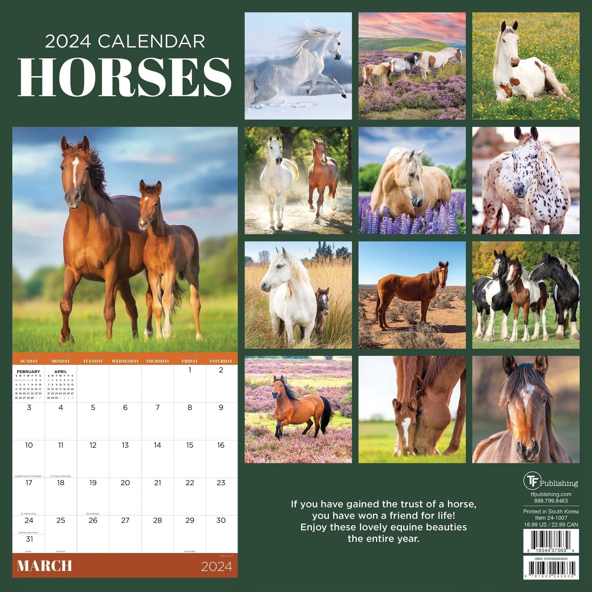 2024 Horses (by TF Publishing) - Square Wall Calendar