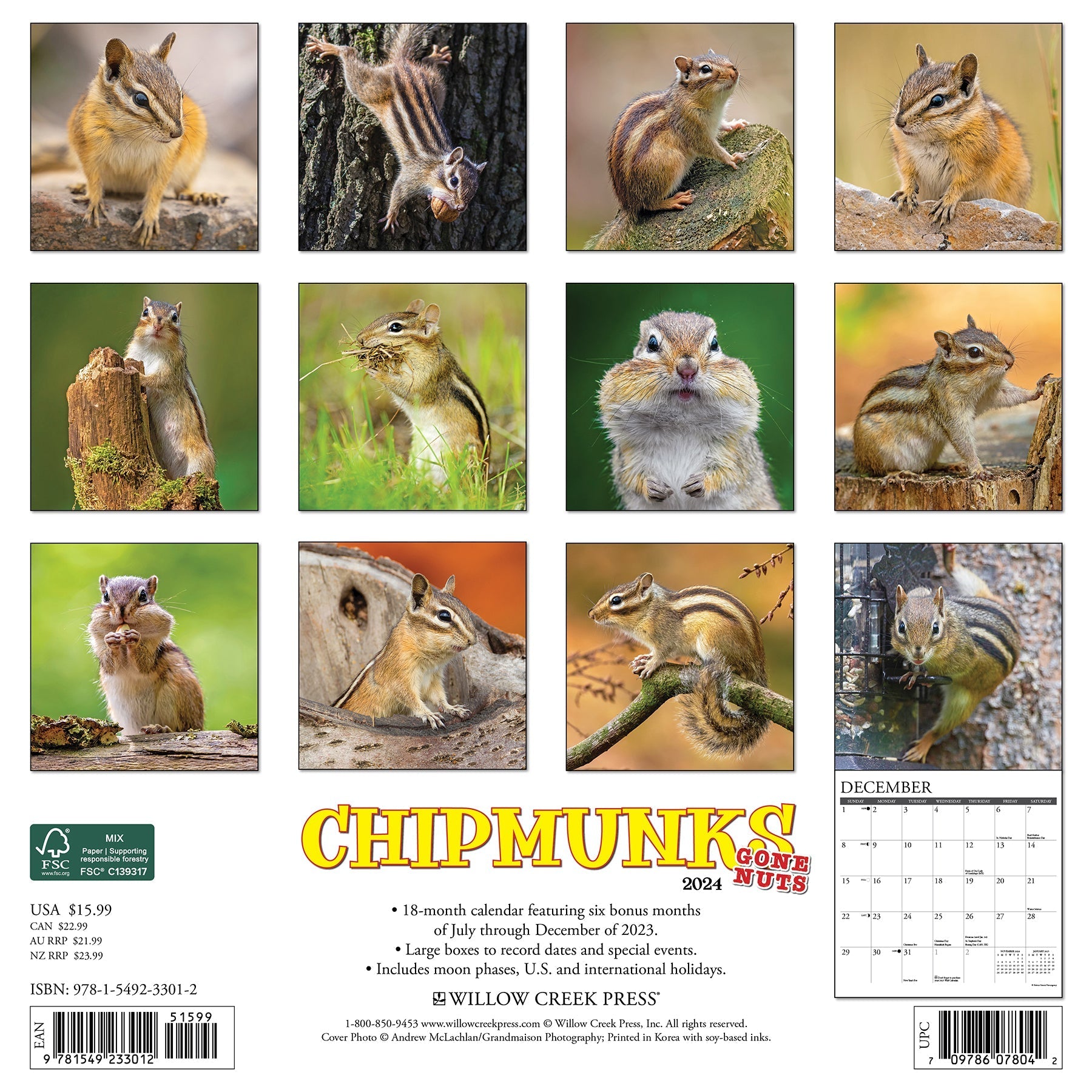 2024 Chipmunks (Gone Nuts!) - Wall Calendar