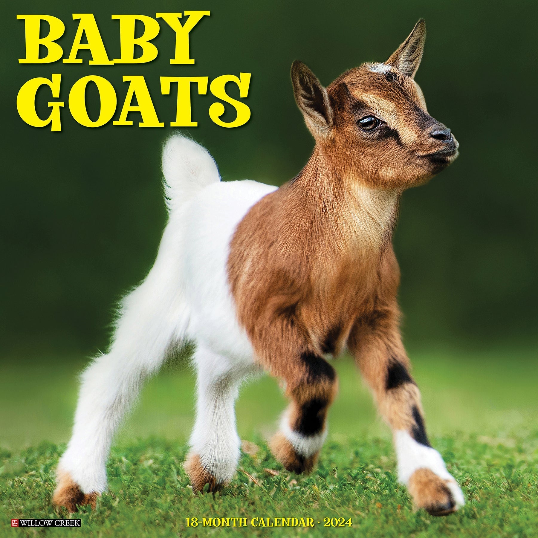 2024 Baby Goats - Wall Calendar