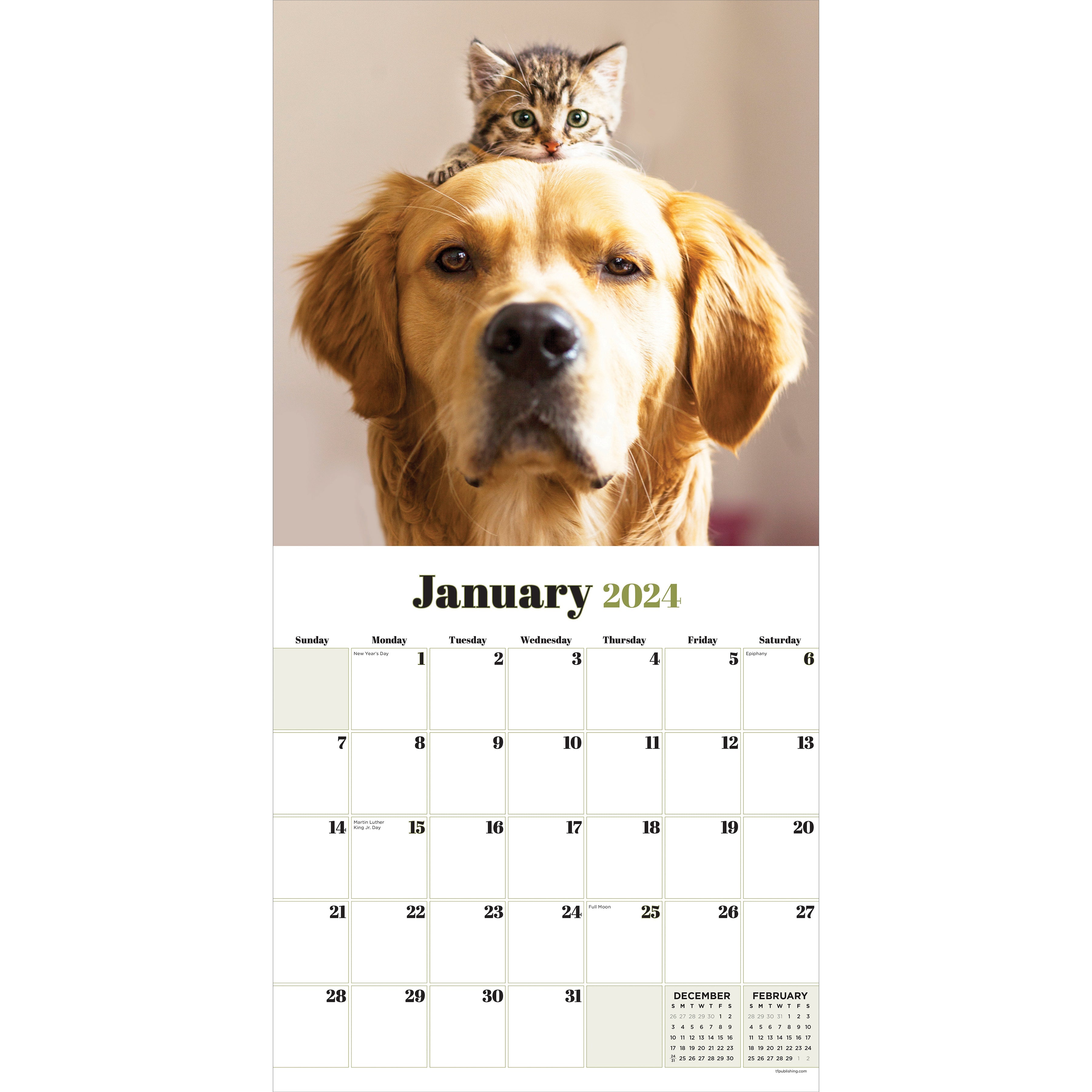2024 Furry Friends - Square Wall Calendar