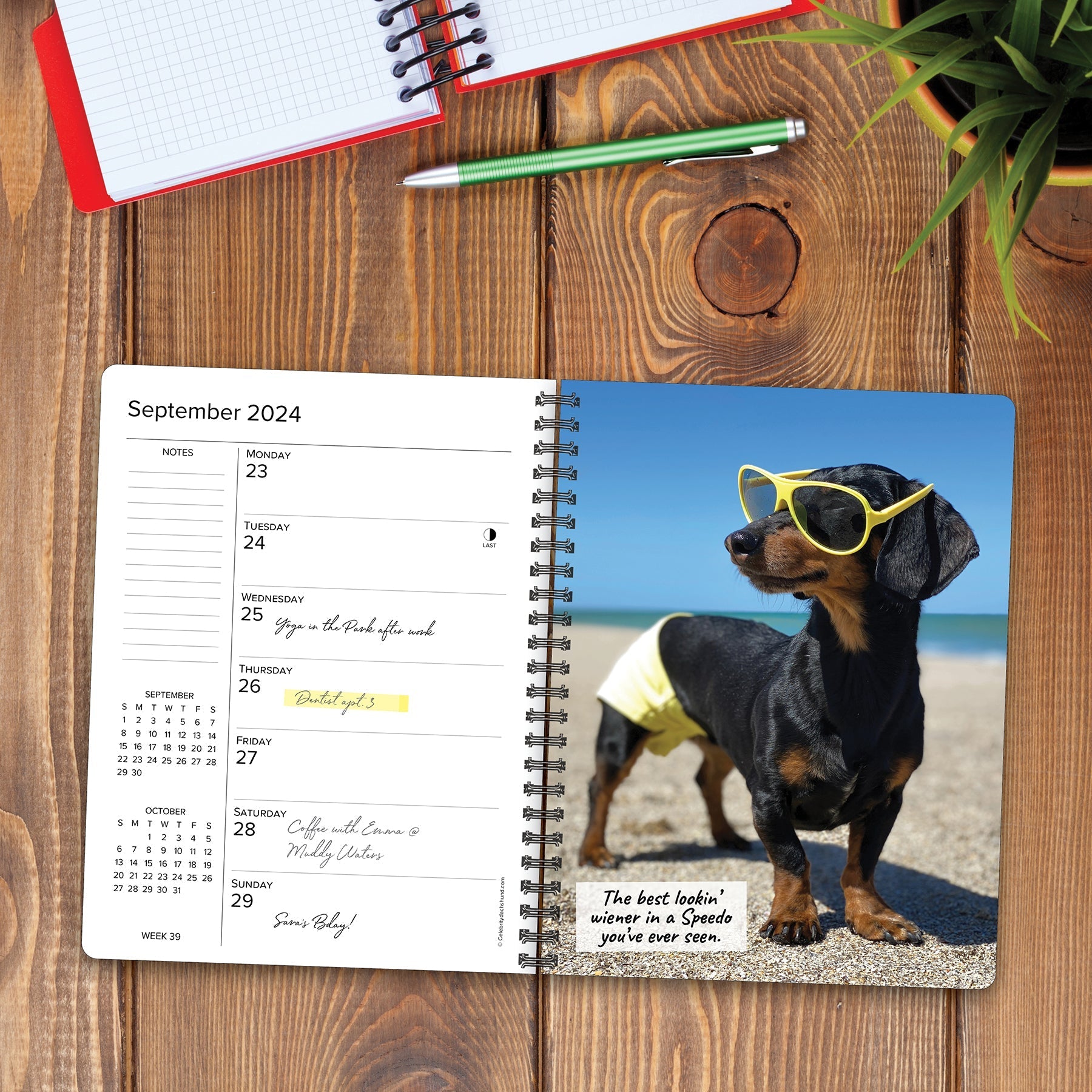 2024 Crusoe the Celebrity Dachshund - Weekly Planner Diary