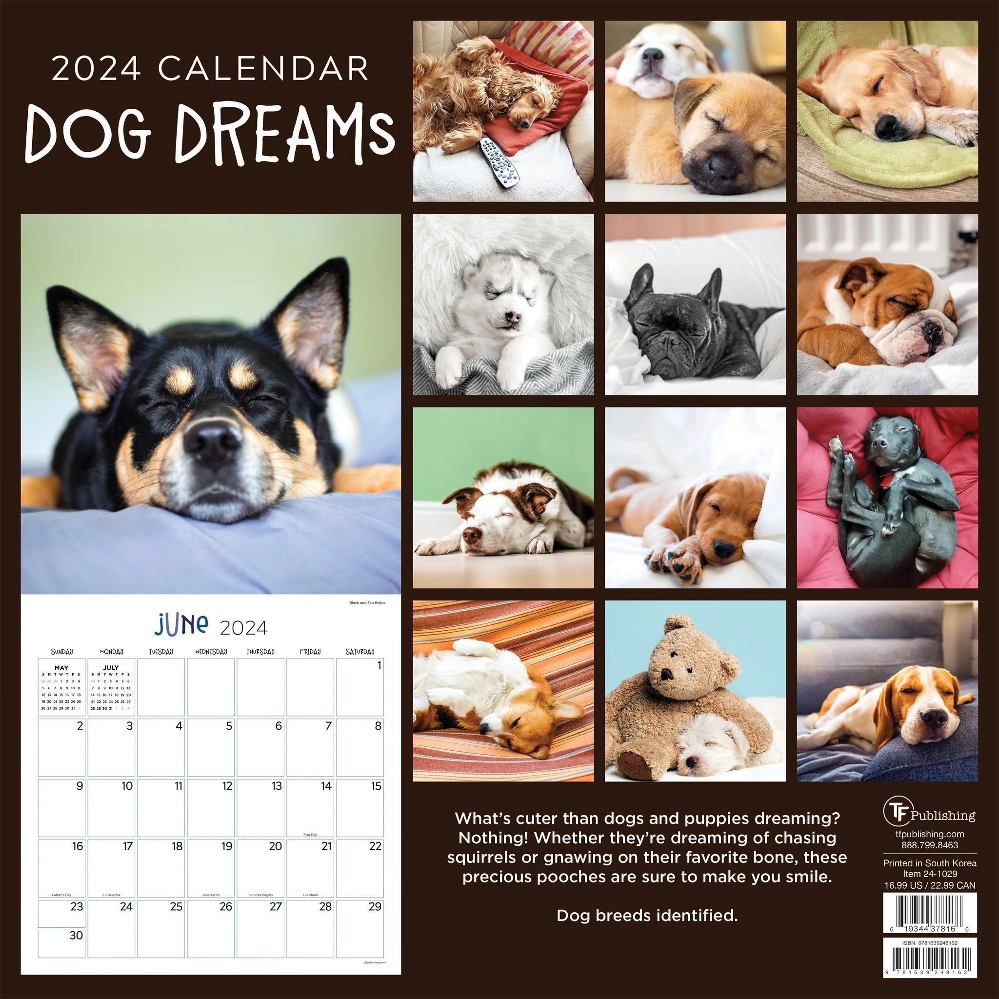 2024 Dog Dreams - Square Wall Calendar