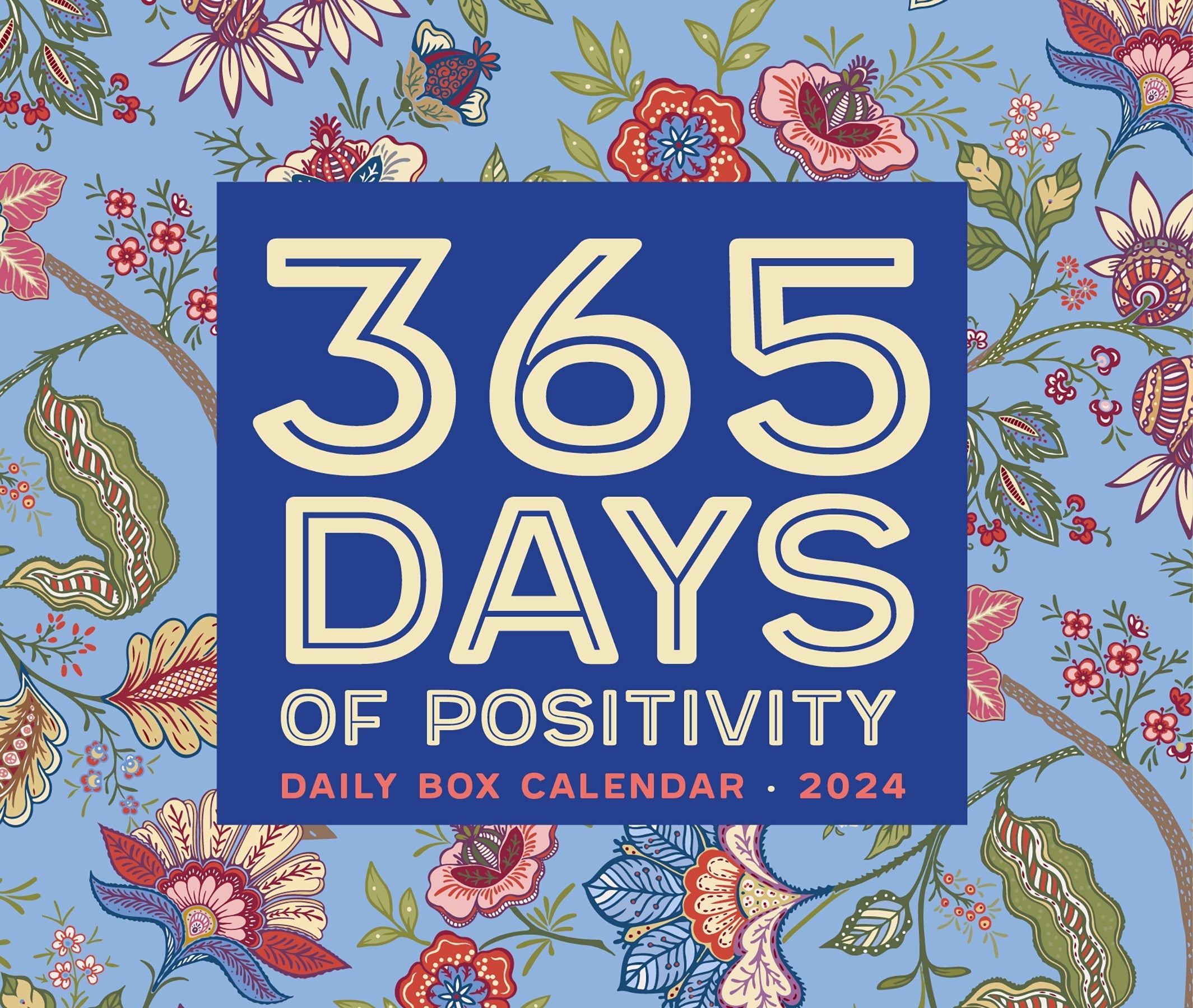 2024 365 Days of Positivity - Boxed Page A Day Calendar