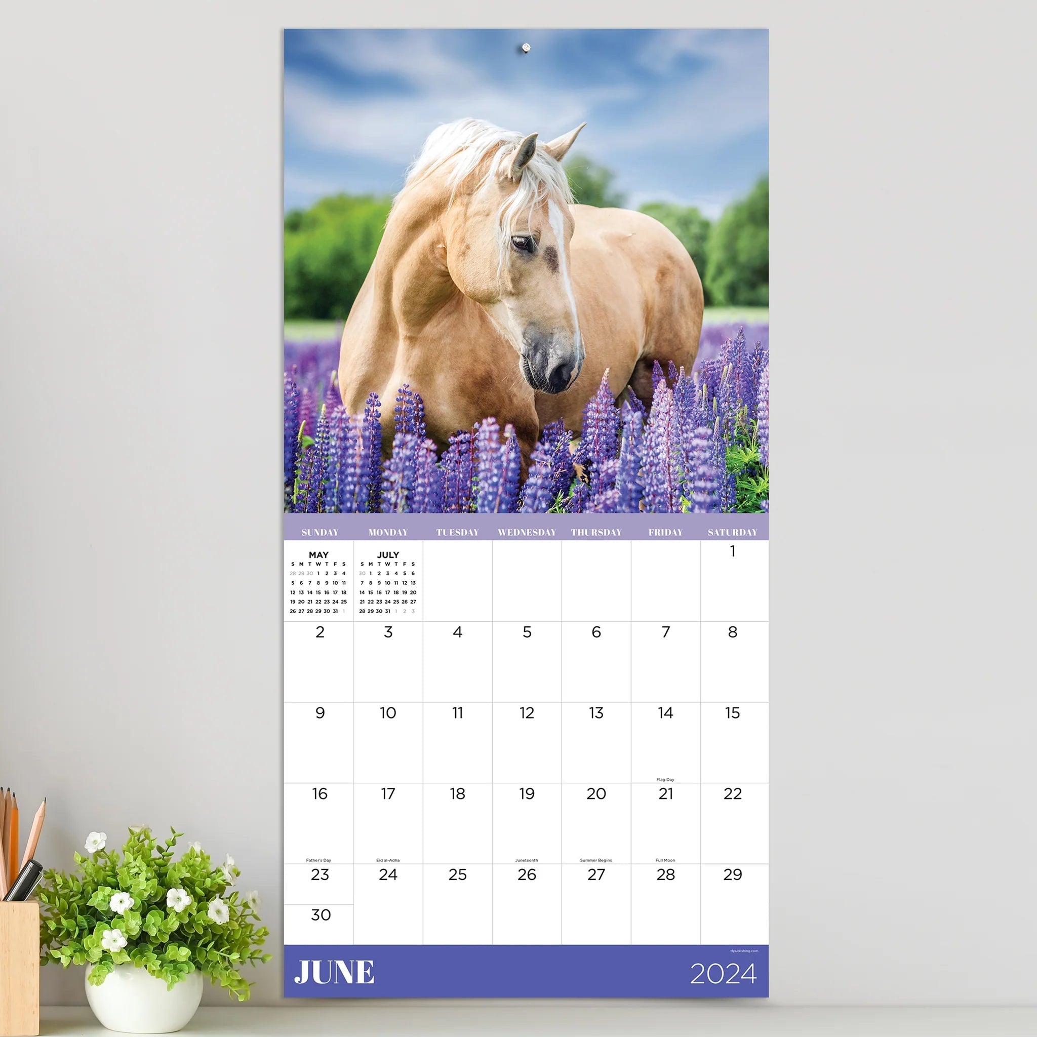 2024 Horses (by TF Publishing) - Square Wall Calendar