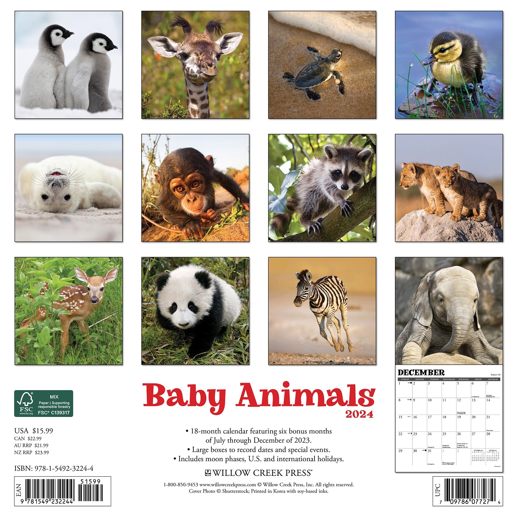2024 Baby Animals - Wall Calendar