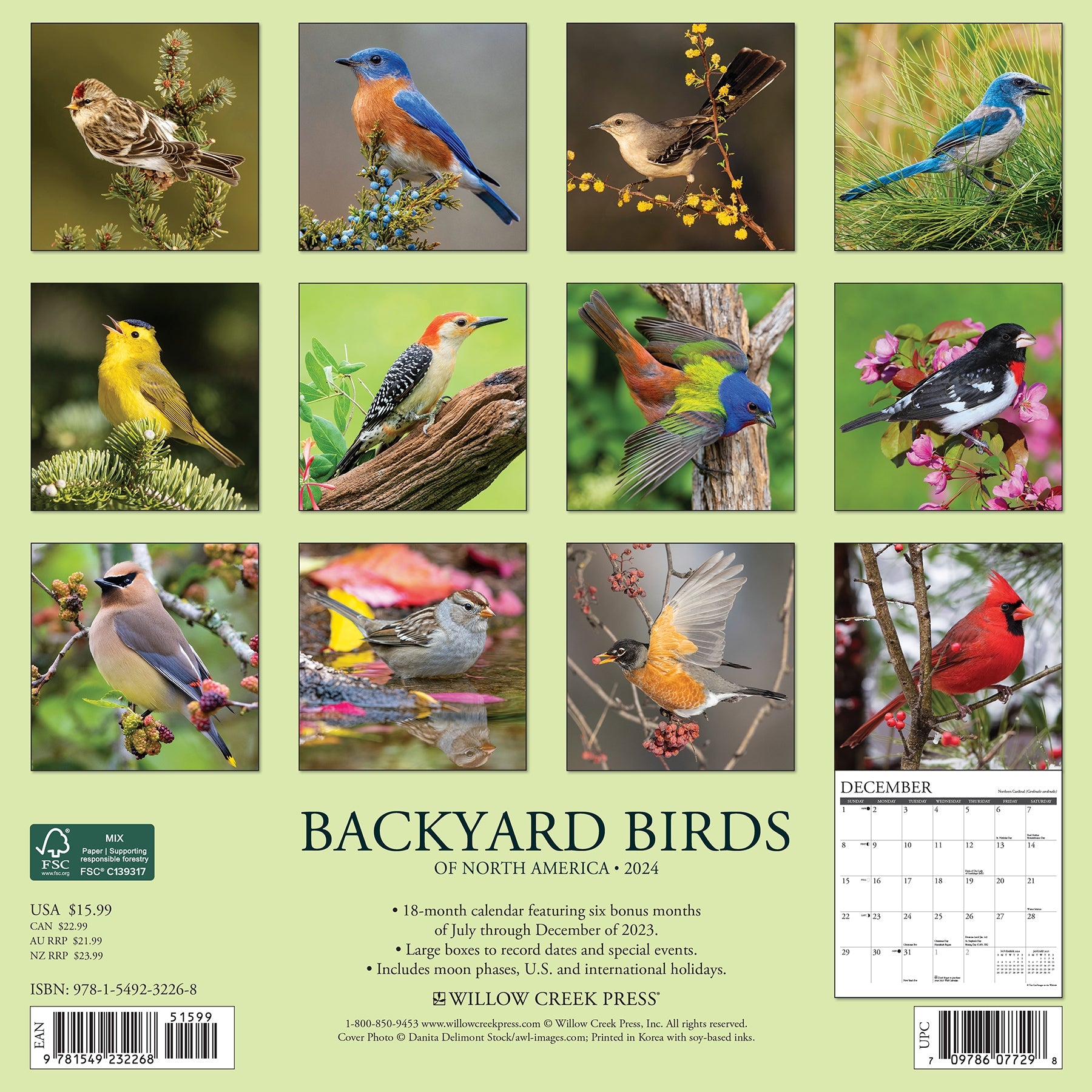 2024 Backyard Birds - Wall Calendar