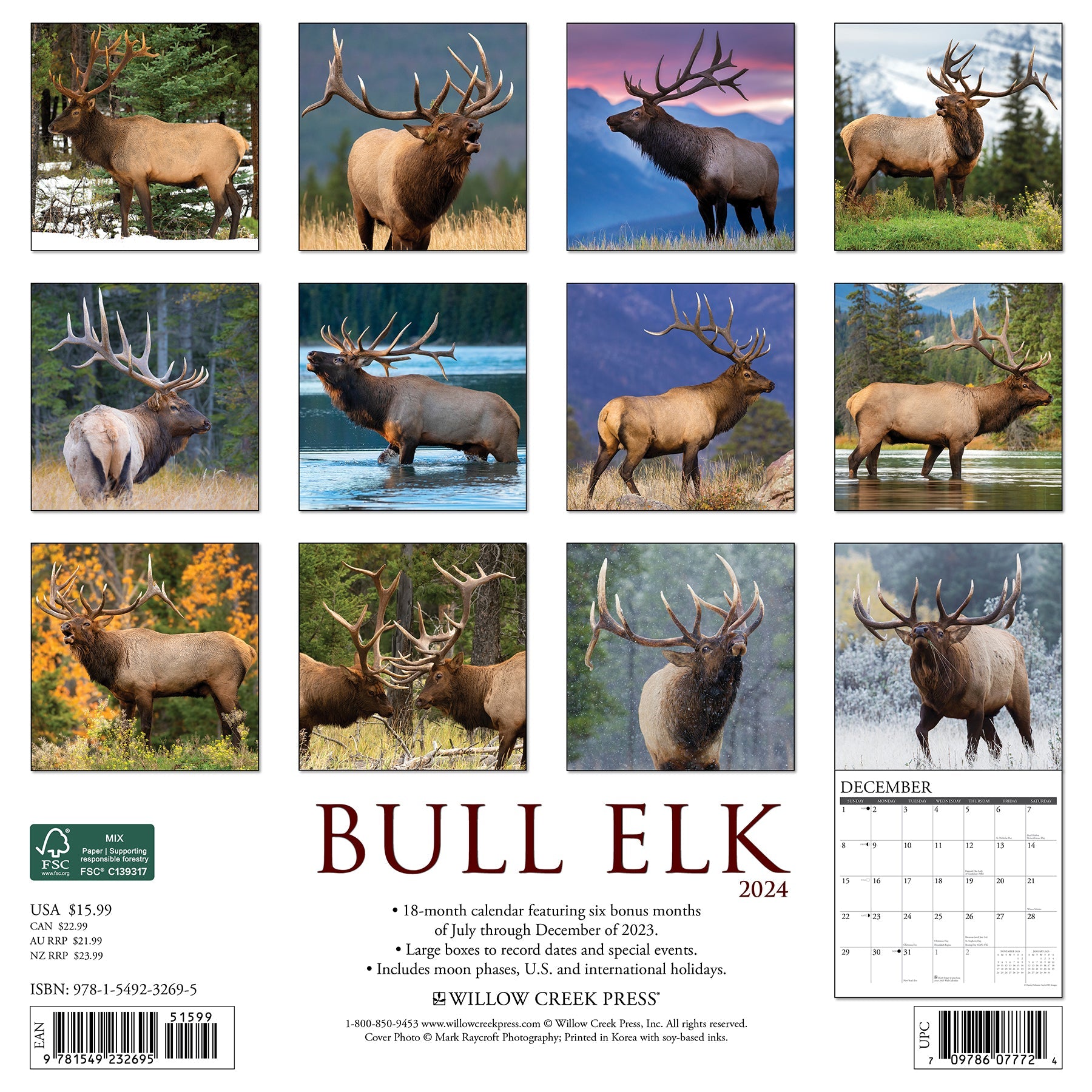 2024 Bull Elk - Wall Calendar