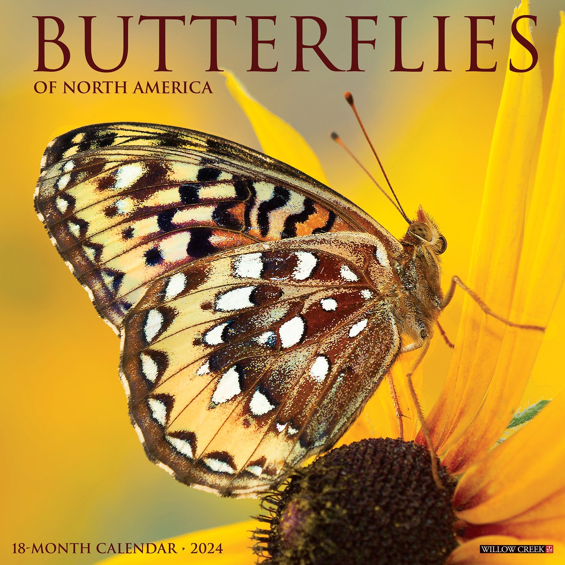 2024 Butterflies - Wall Calendar