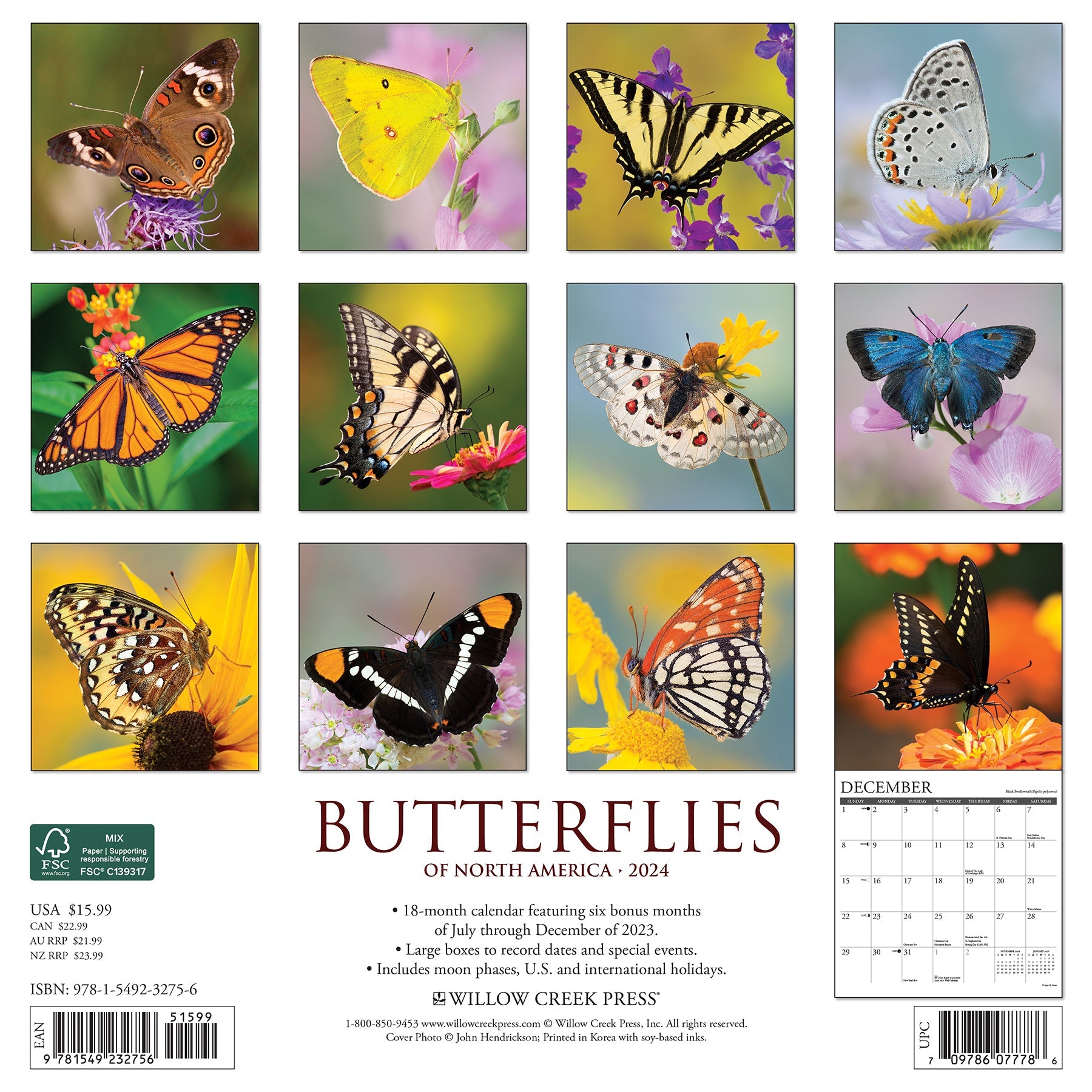 2024 Butterflies - Wall Calendar