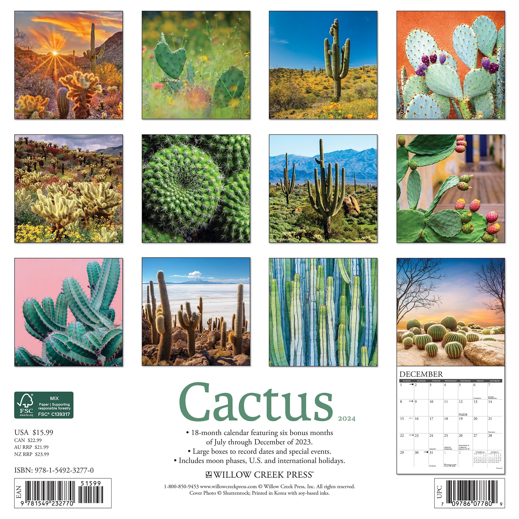 2024 Cactus - Wall Calendar