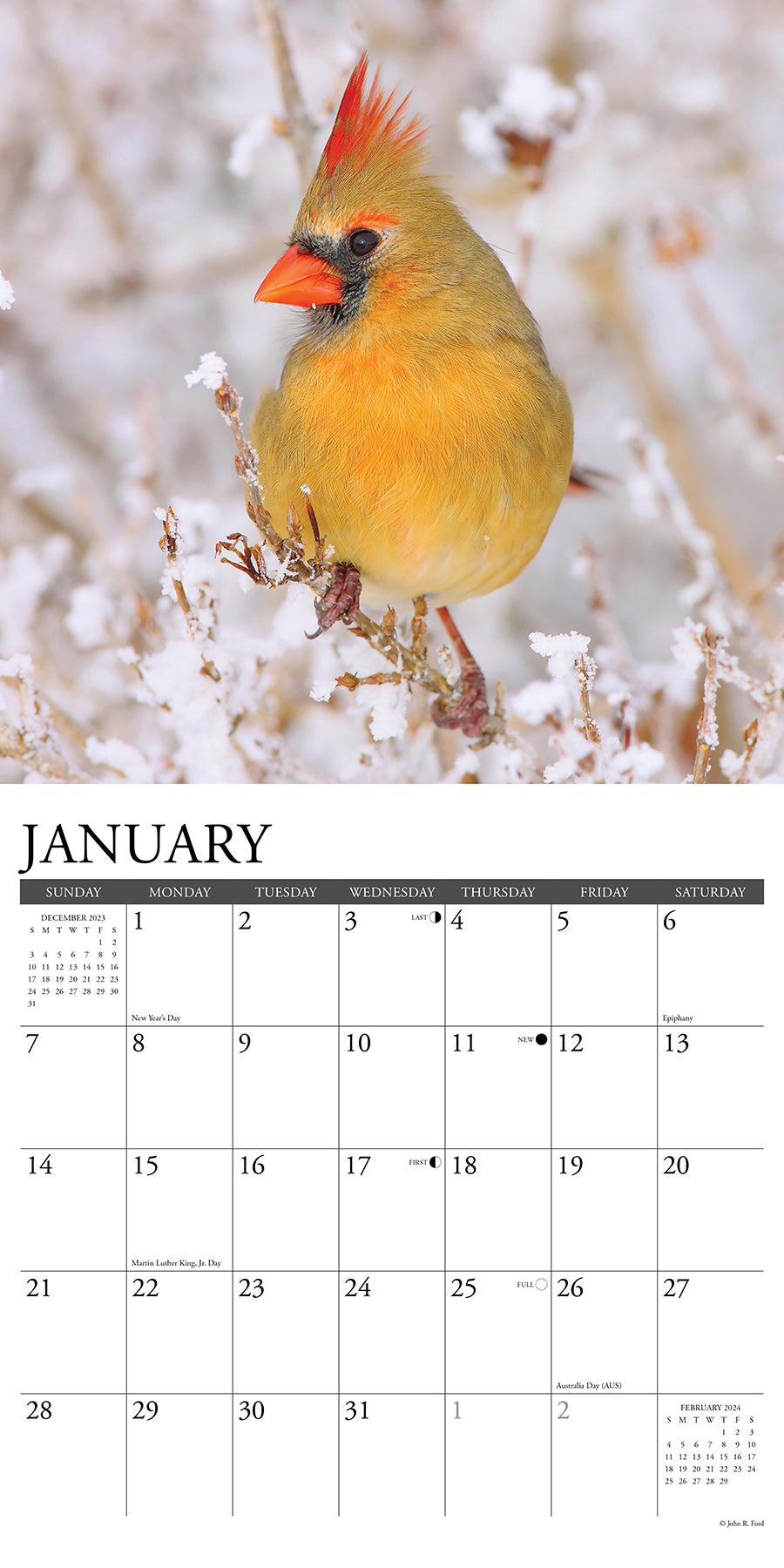 2024 Cardinals - Wall Calendar