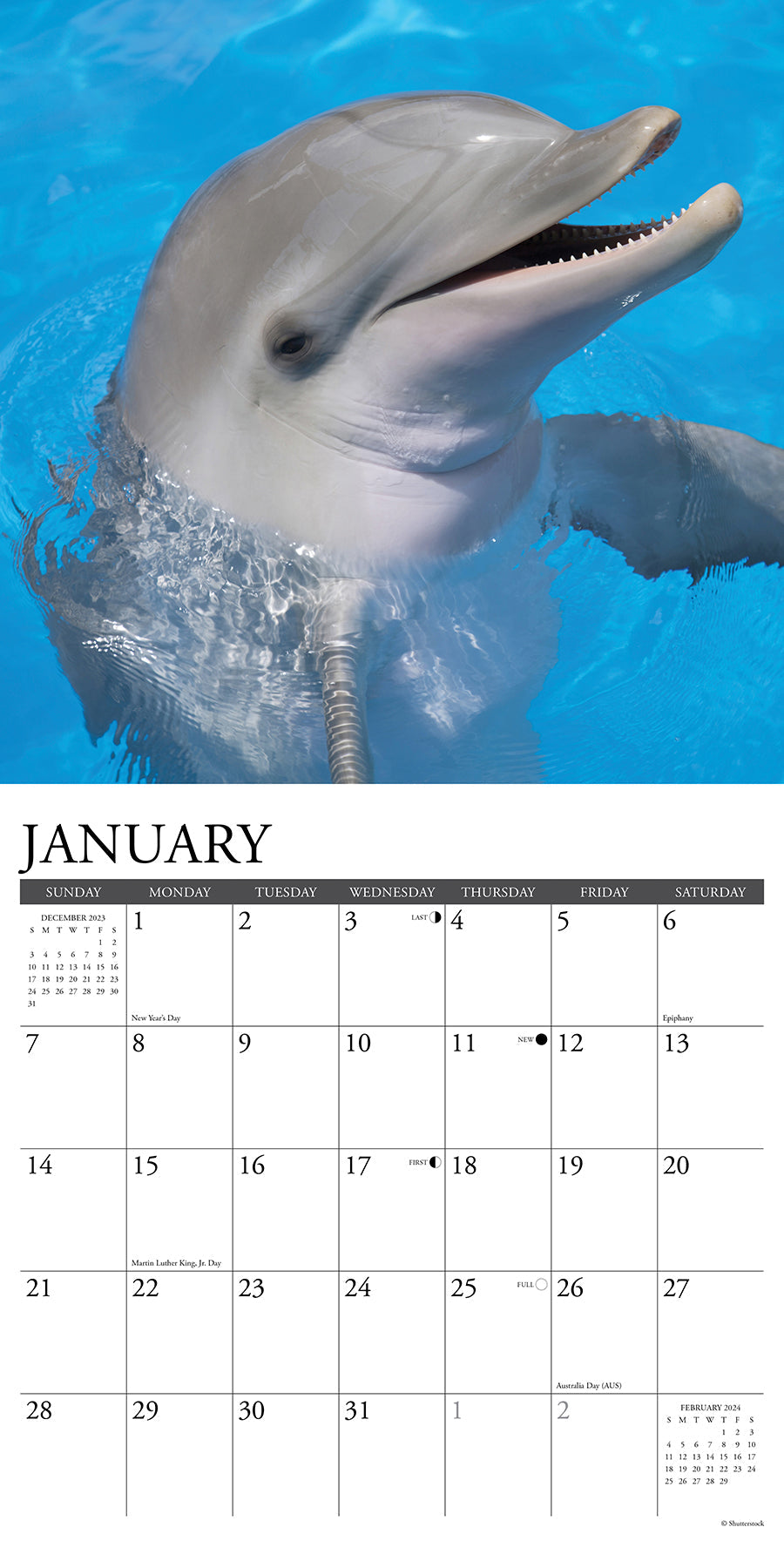 2024 Dolphins - Wall Calendar