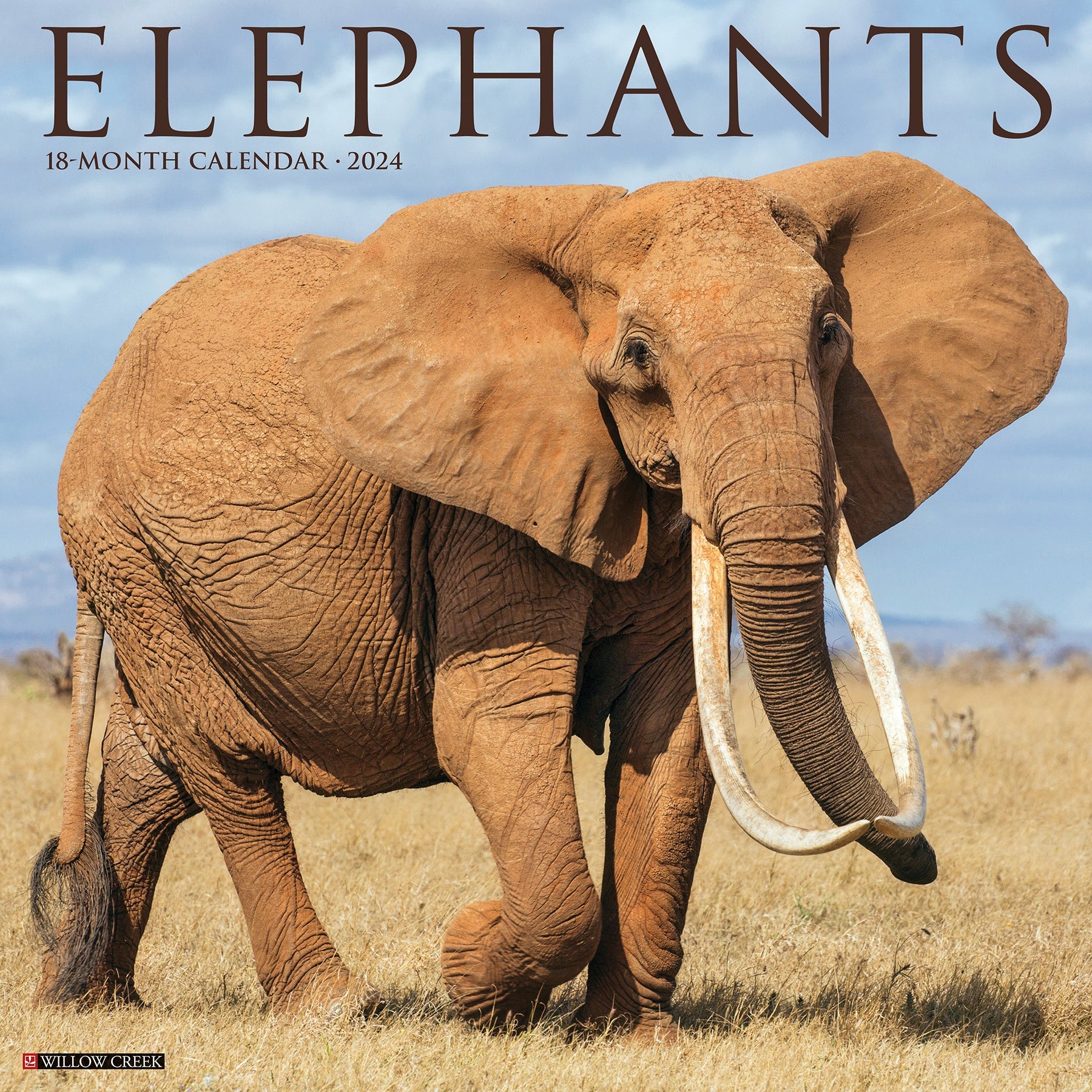 2024 Elephants - Wall Calendar