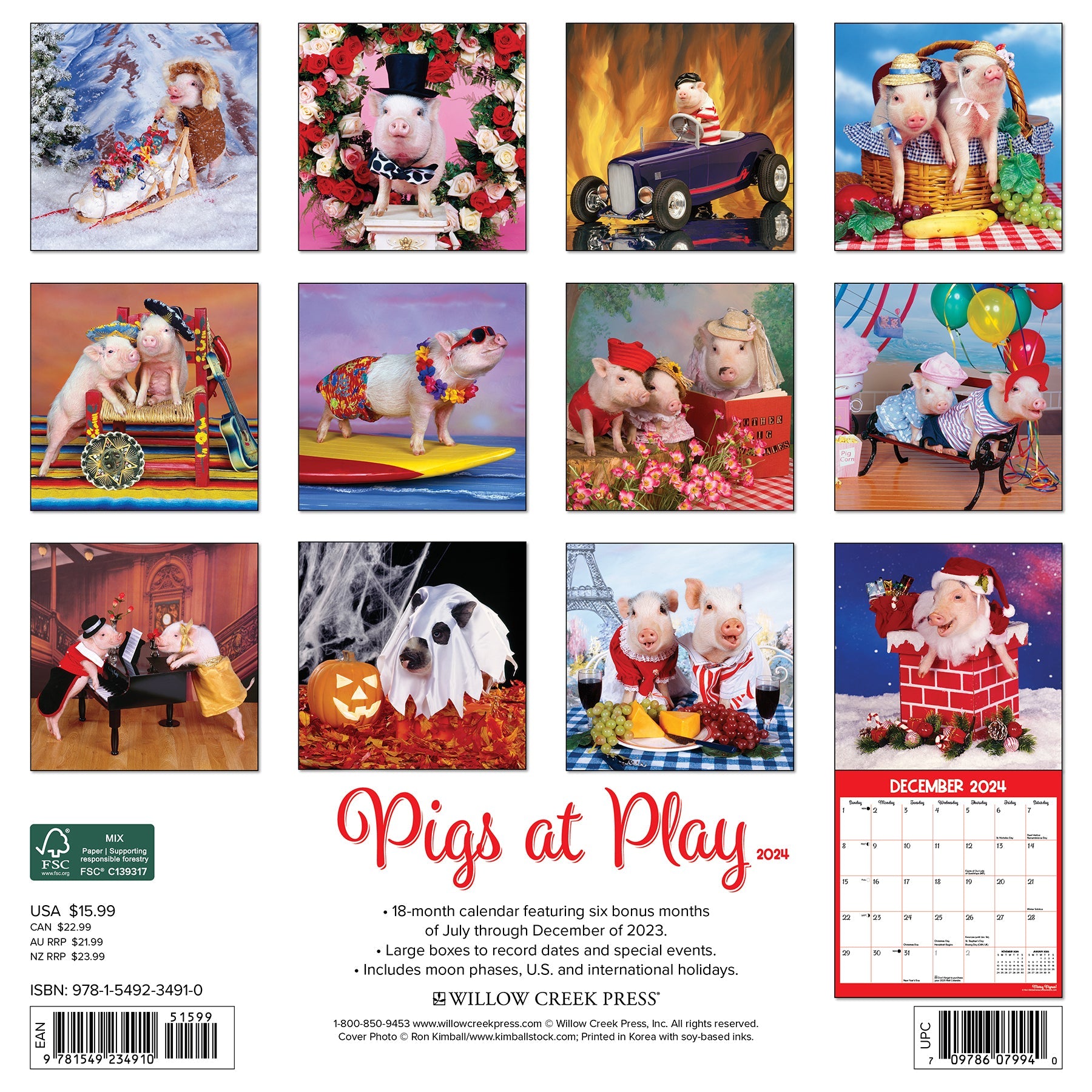 2024 Pigs at Play - Wall Calendar