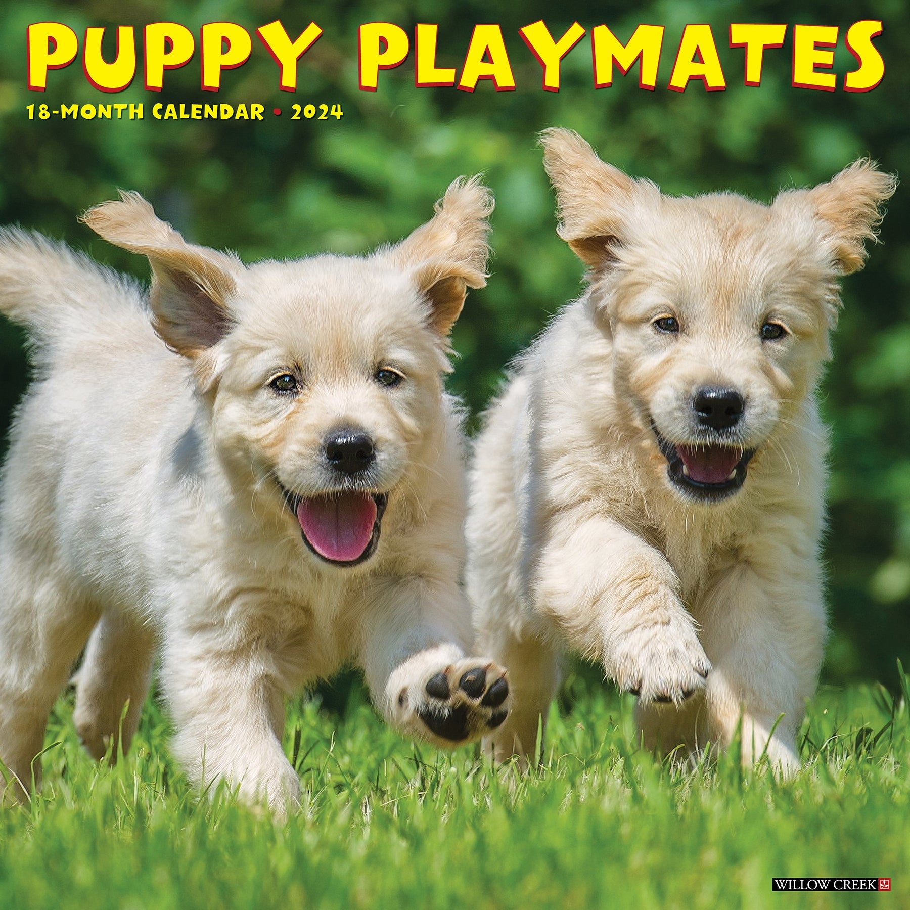 2024 Puppy Playmates - Wall Calendar
