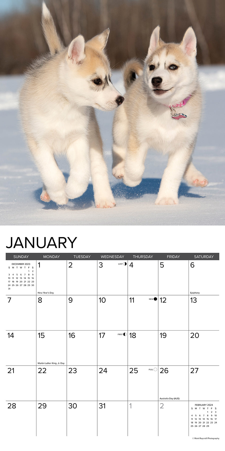 2024 Puppy Playmates - Wall Calendar