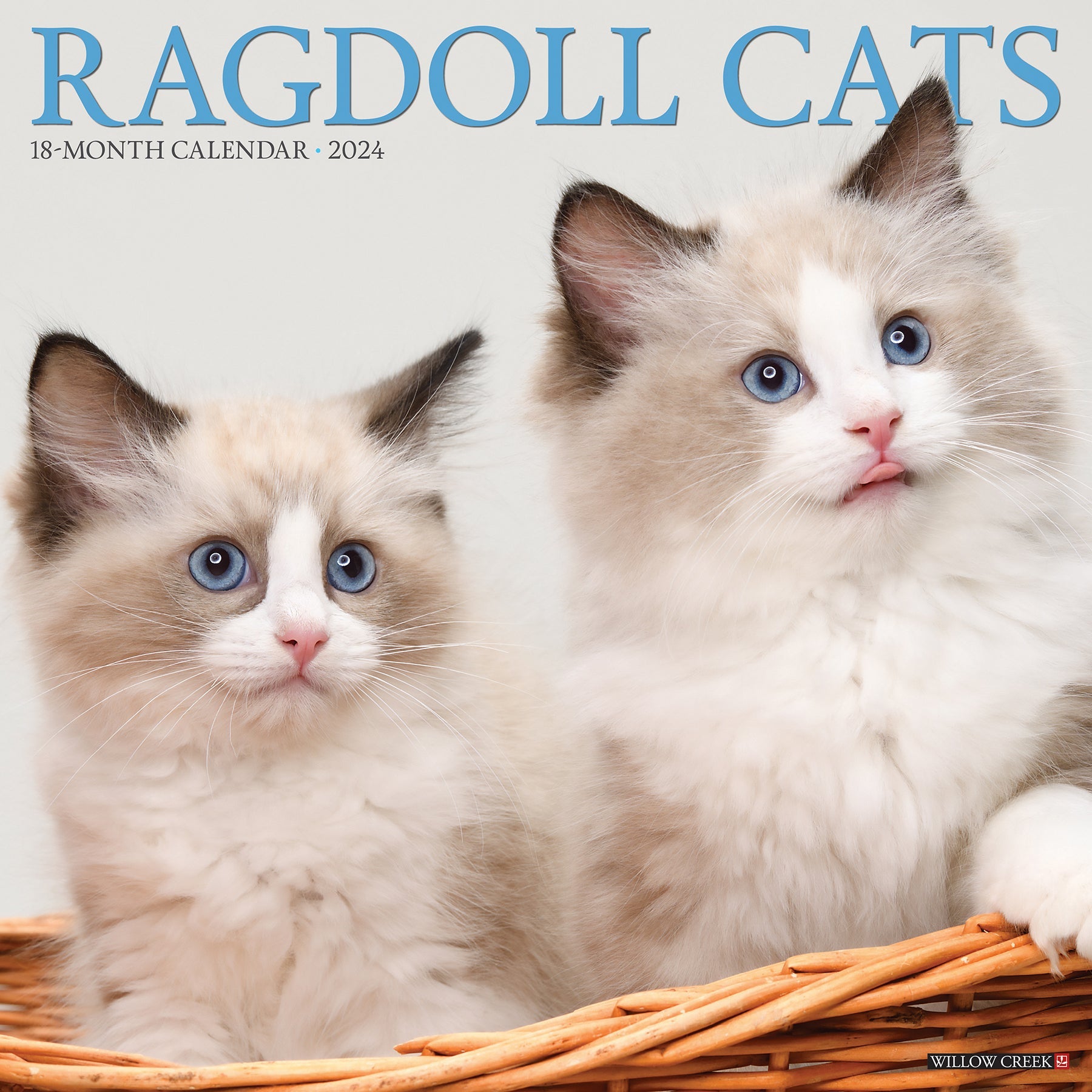 2024 Ragdoll Cats - Wall Calendar