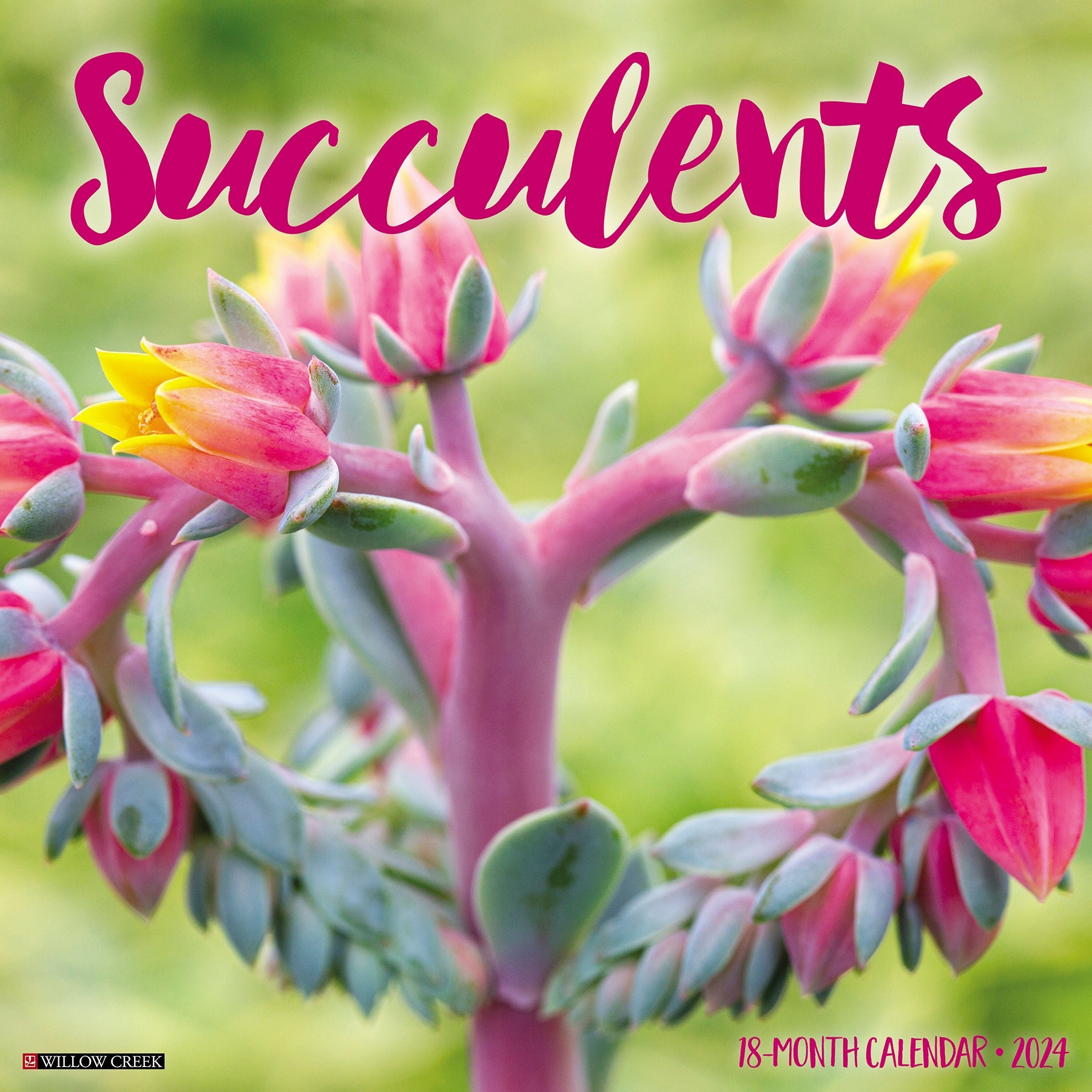 2024 Succulents - Wall Calendar