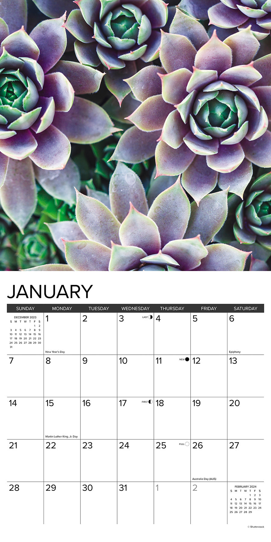 2024 Succulents - Wall Calendar