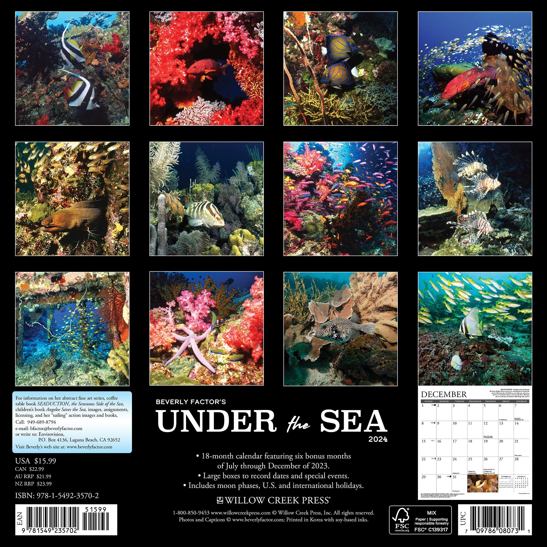 2024 Under the Sea - Wall Calendar