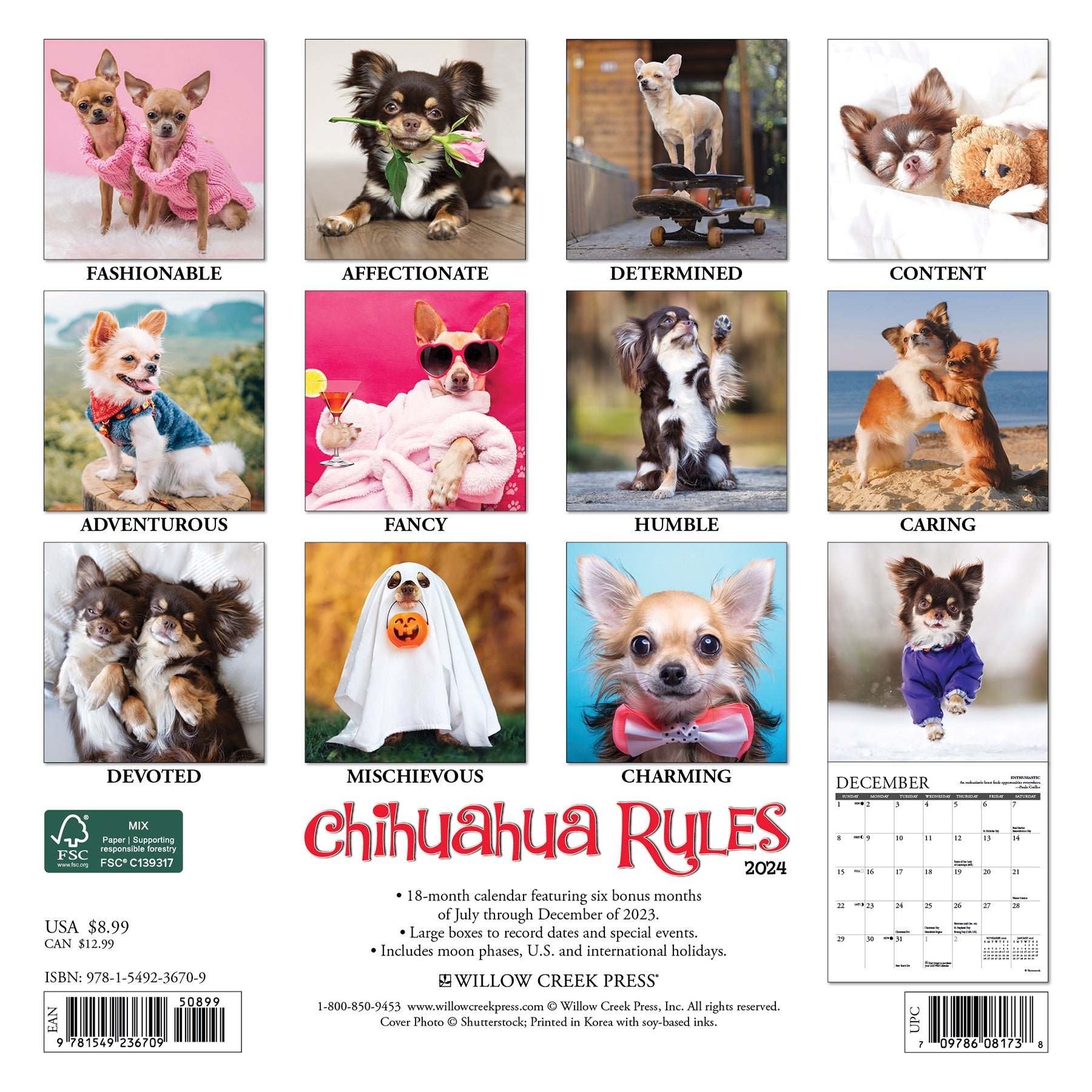 2024 Chihuahua Rules - Mini Wall Calendar