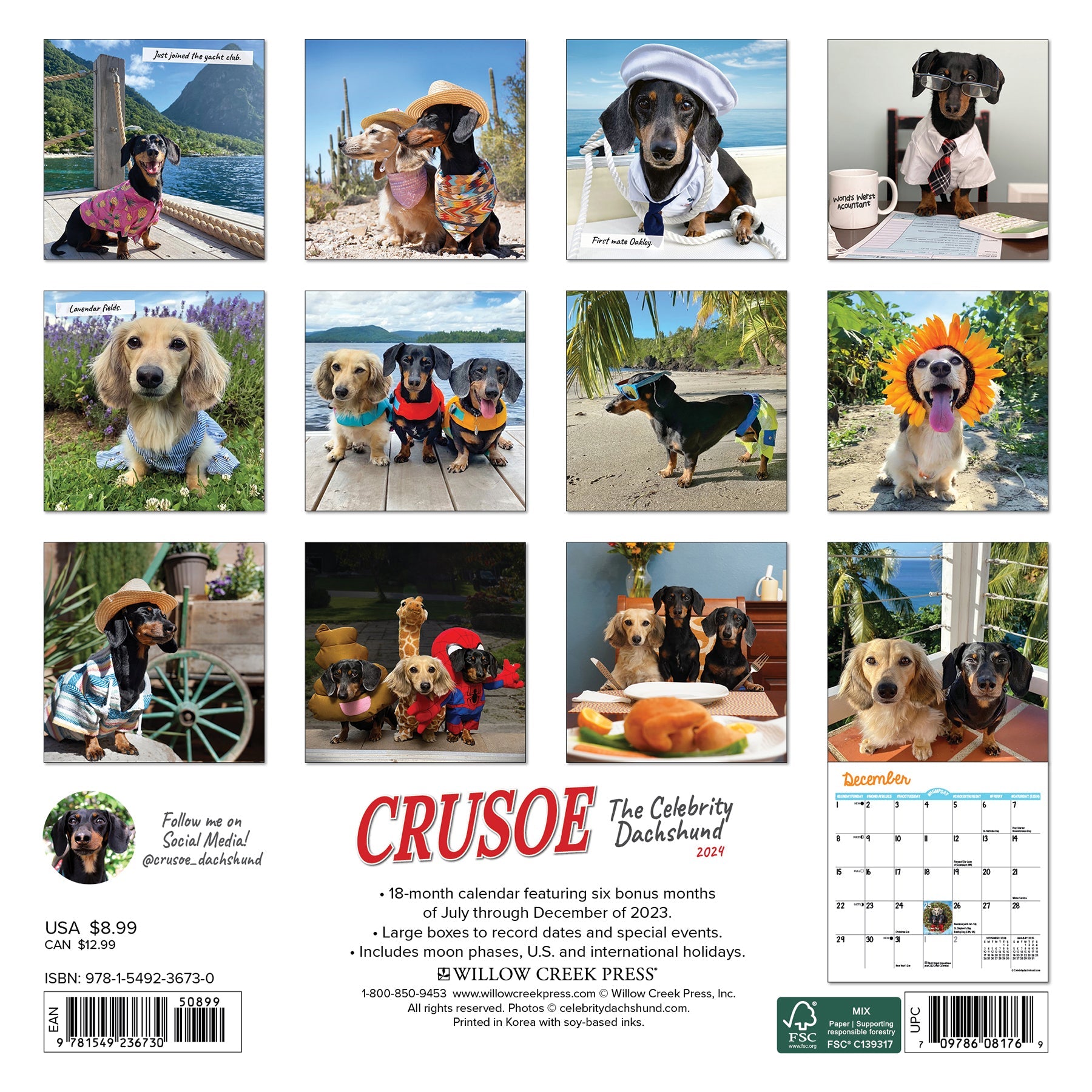 2024 Crusoe the Celebrity Dachshund - Mini Wall Calendar