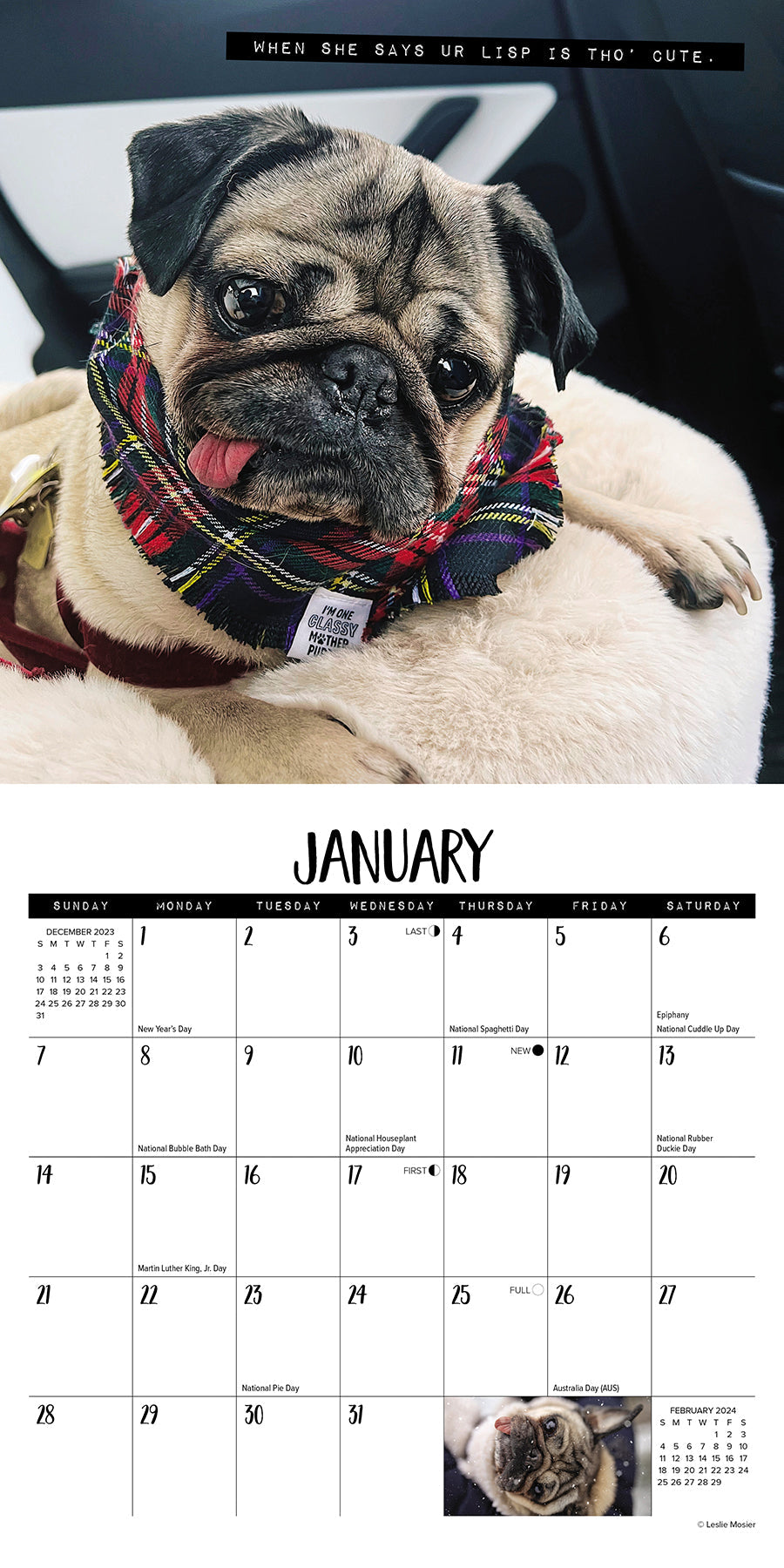 2024 Doug the Pug - Mini Wall Calendar