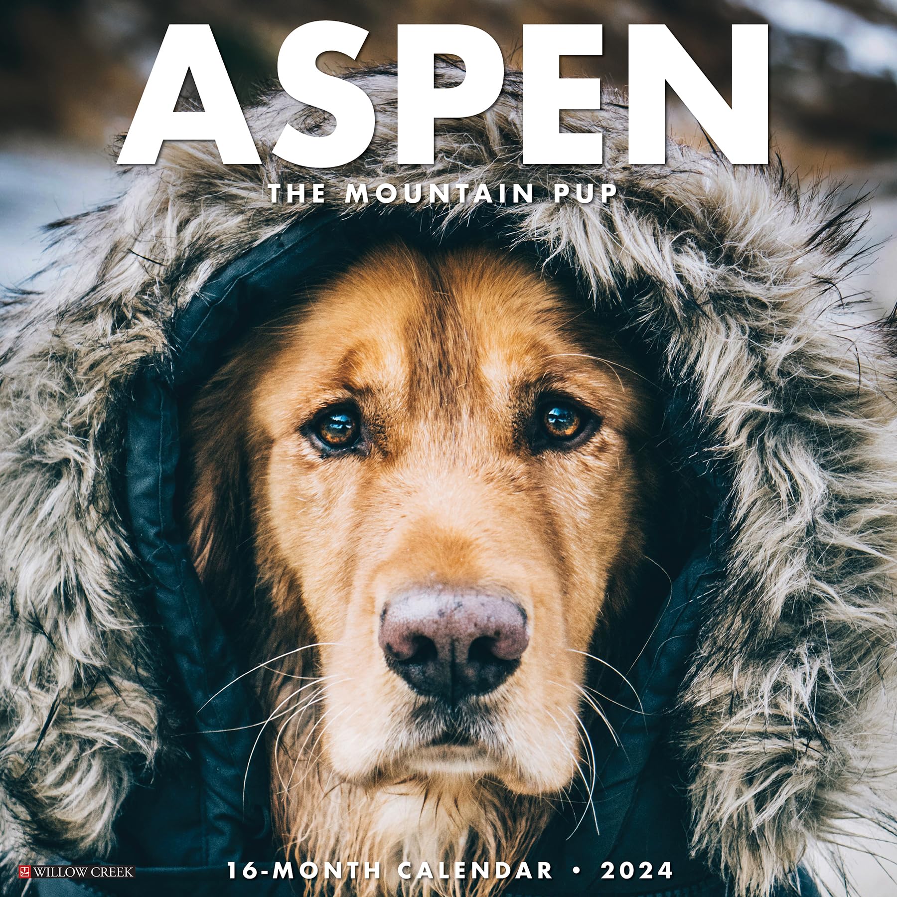 2024 Aspen the Mountain Pup - Wall Calendar