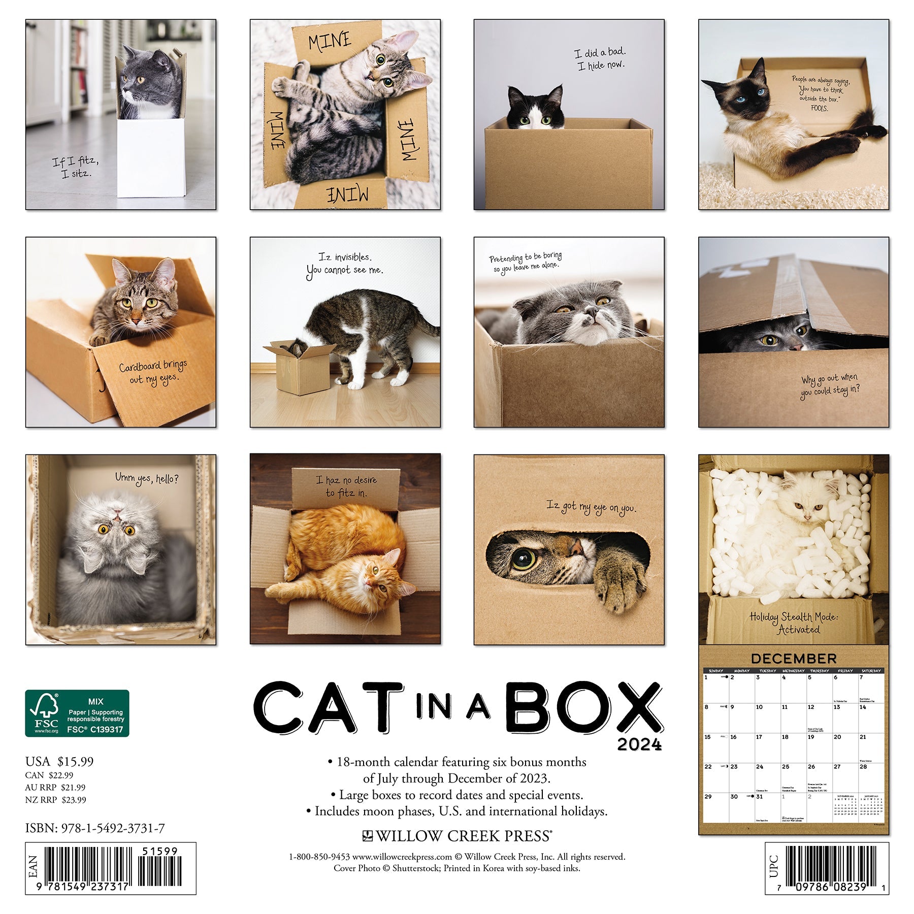 2024 Cat in a Box - Wall Calendar