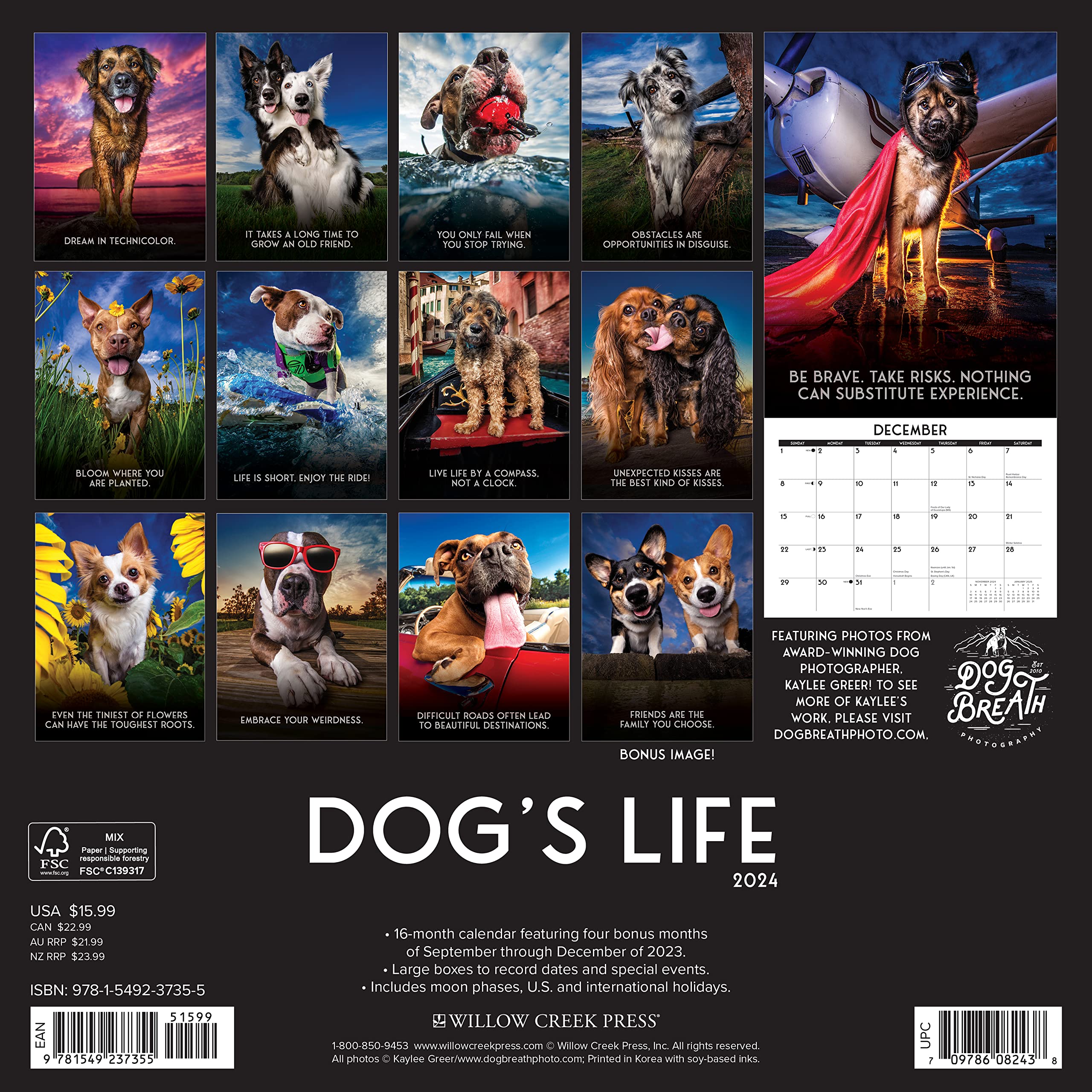 2024 Dog's Life - Wall Calendar