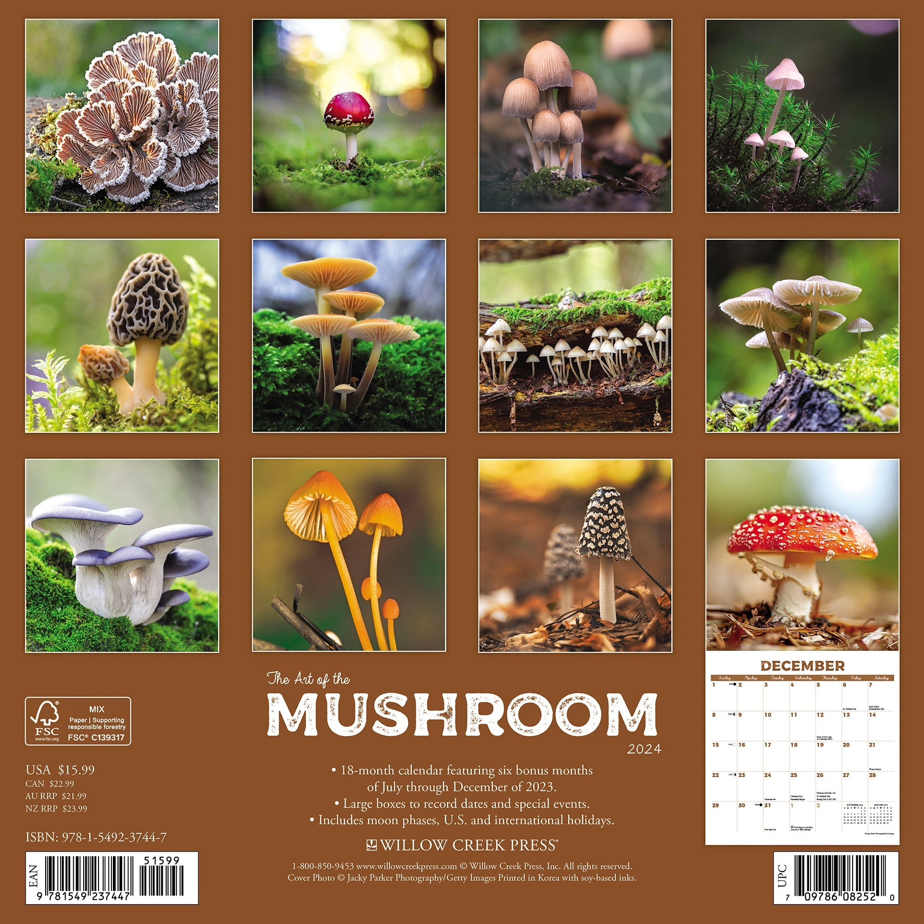 2024 Mushroom (The Art of the) - Wall Calendar