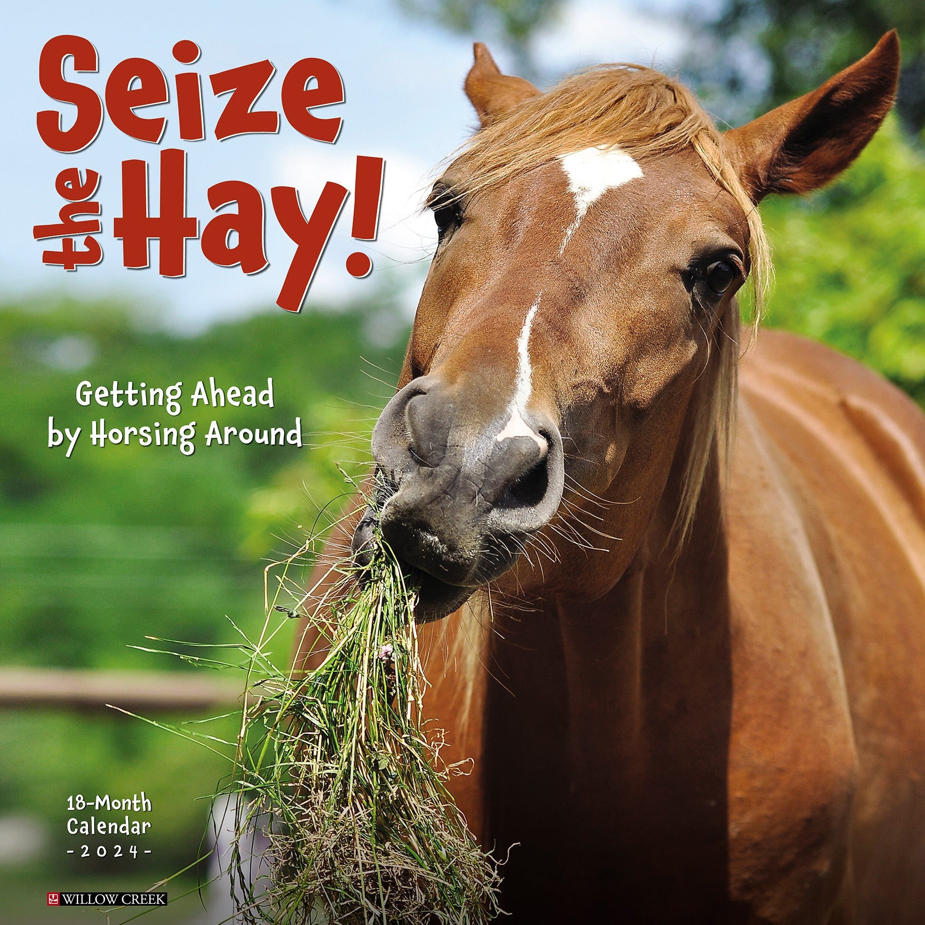 2024 Seize the Hay - Wall Calendar