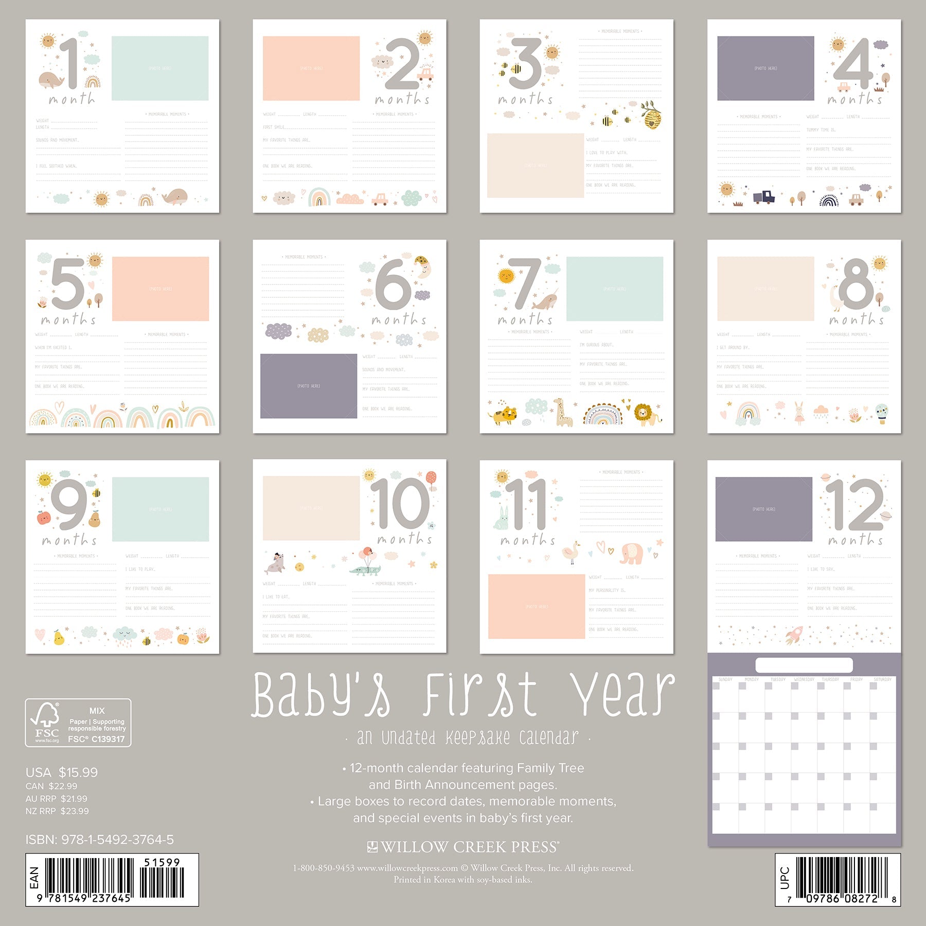 Undated Baby's First Year - Wall Calendar - Wall Calendar