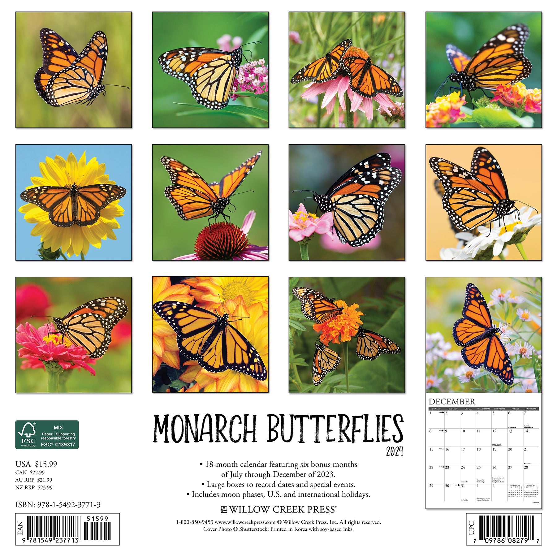 2024 Monarch Butterflies - Wall Calendar