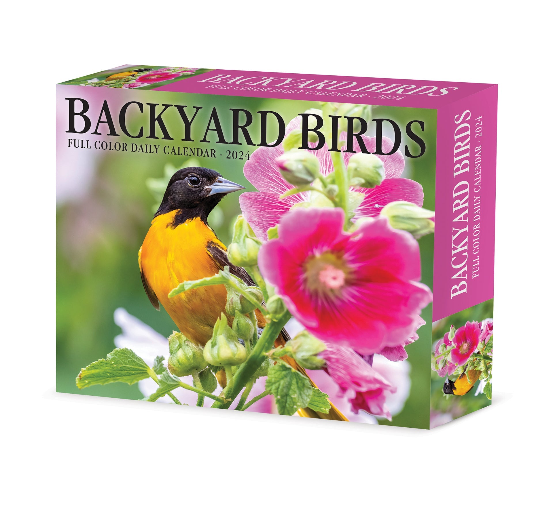 2024 Backyard Birds - Boxed Page A Day Calendar
