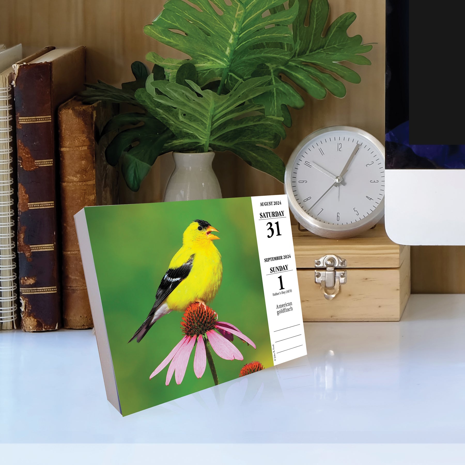 2024 Backyard Birds - Boxed Page A Day Calendar