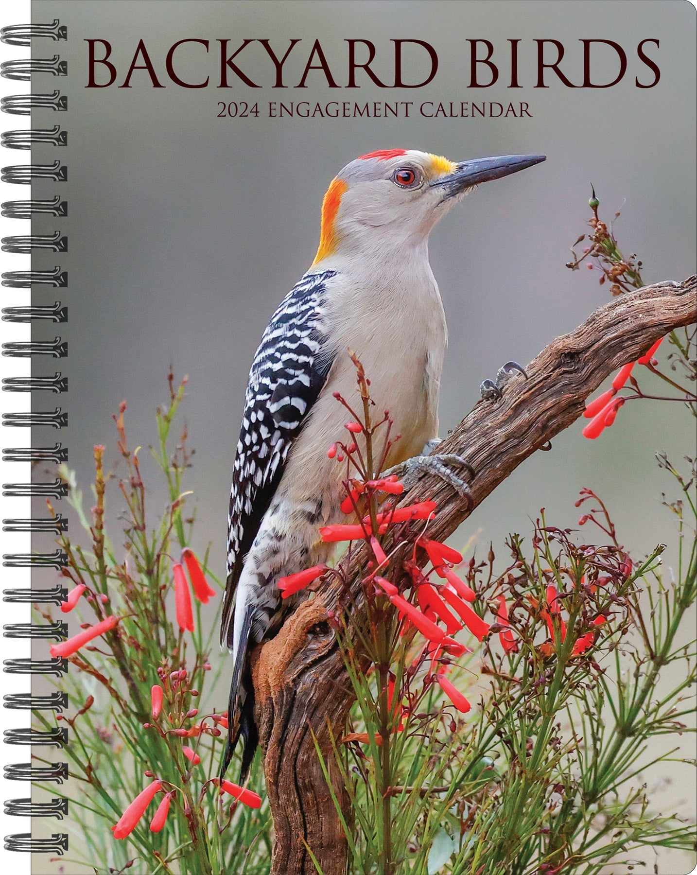 2024 Backyard Birds - Weekly Diary/Planner