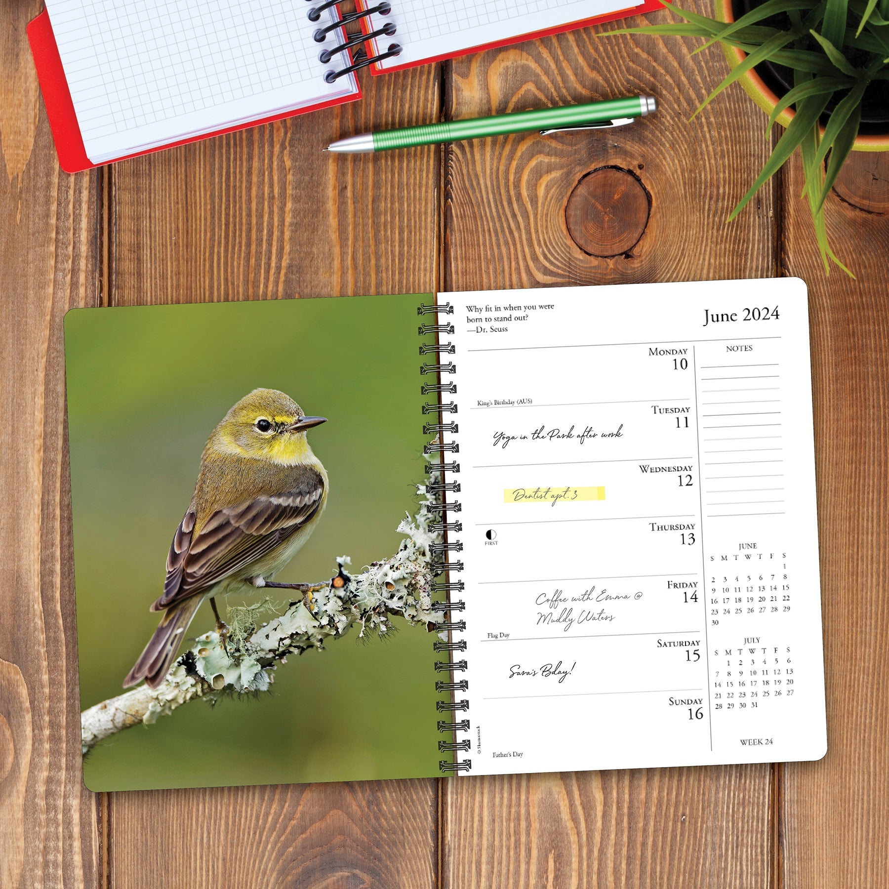 2024 Backyard Birds - Weekly Diary/Planner