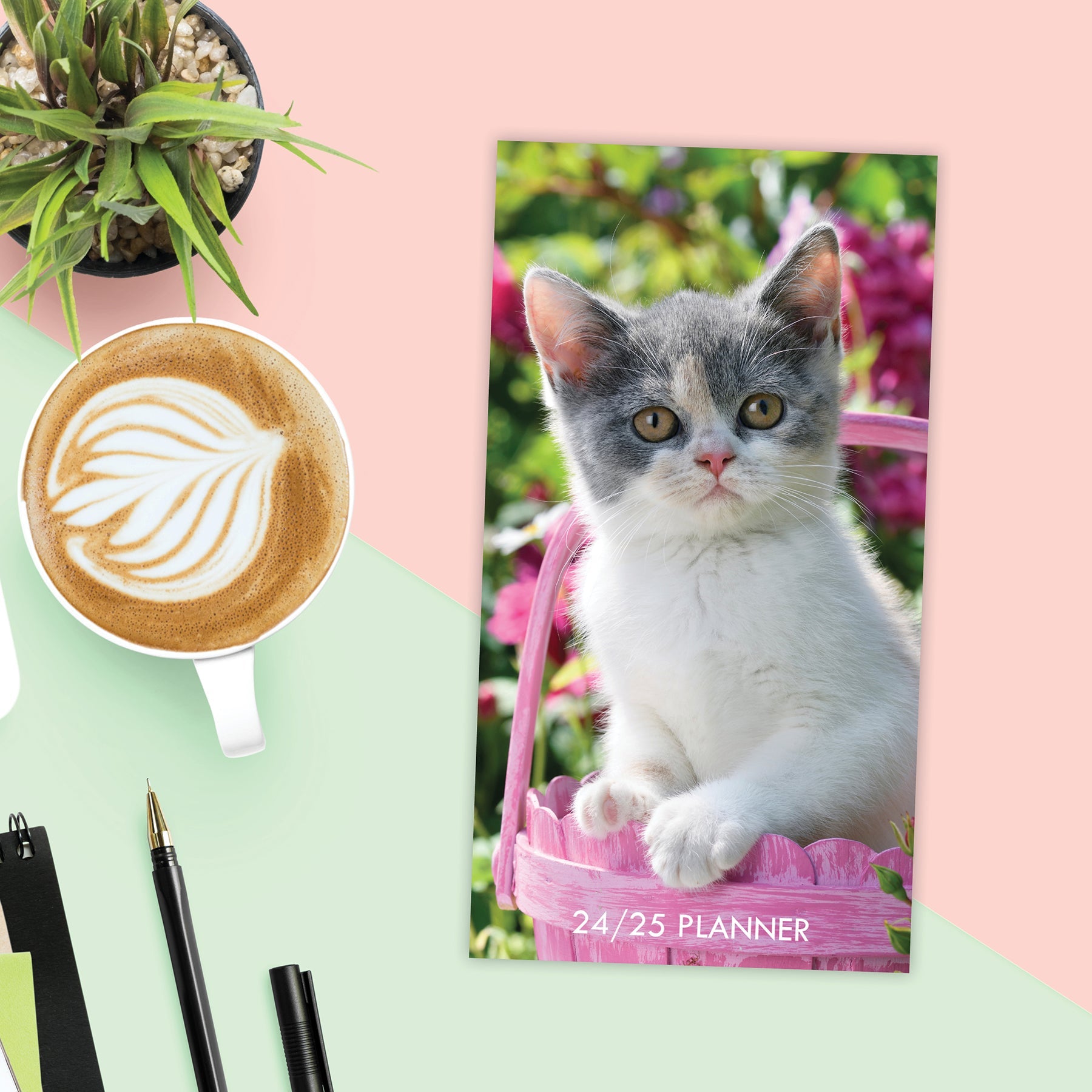2024 Cute As A Kitten - 2 Year Pocket Diary/Planner